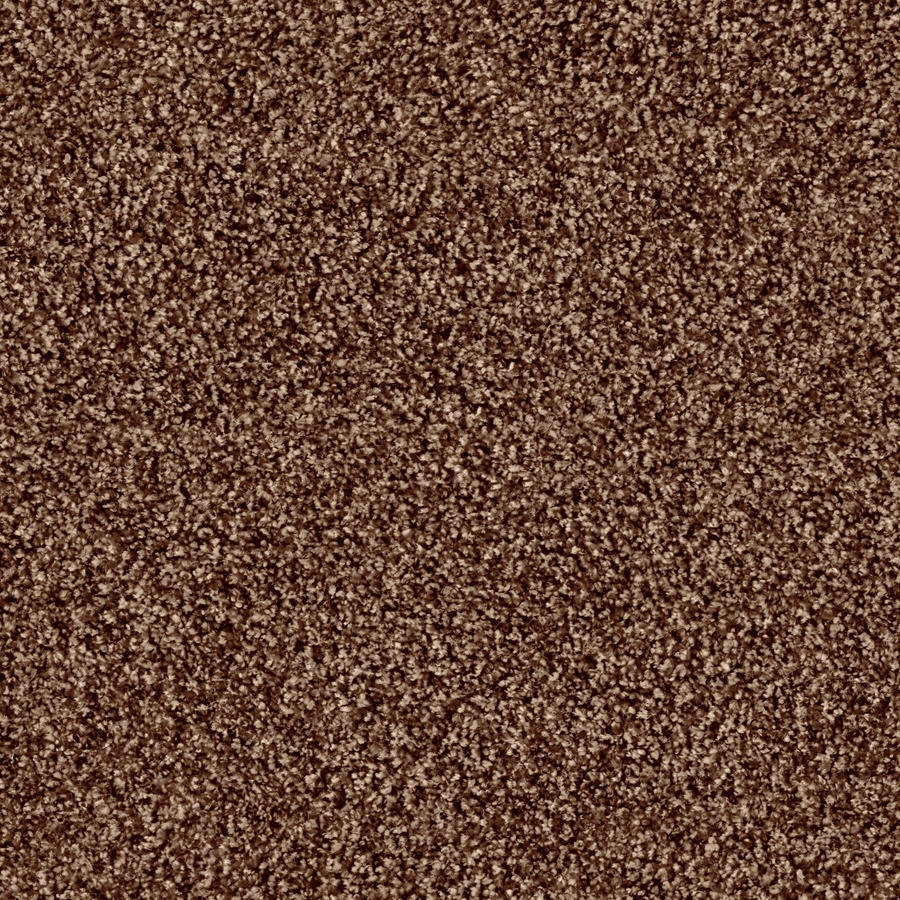 Display product Glory 1507 Teddy from manufacturer OBJECT CARPET