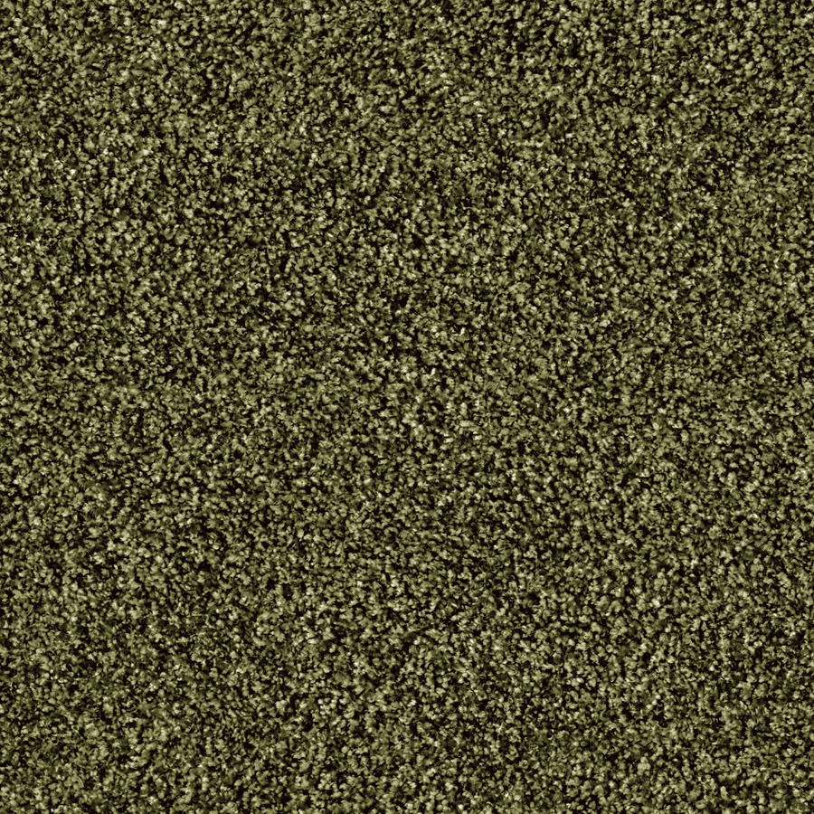 Glory 1510 Thymian