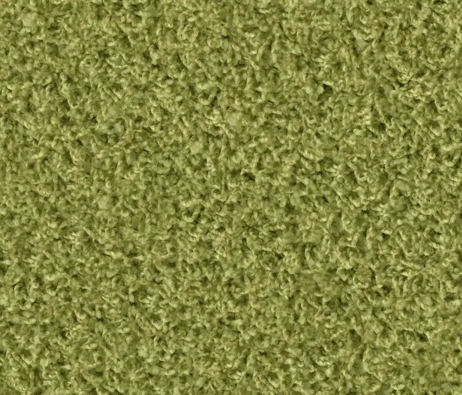 OBJECT CARPET - Poodle 1401 Pesto