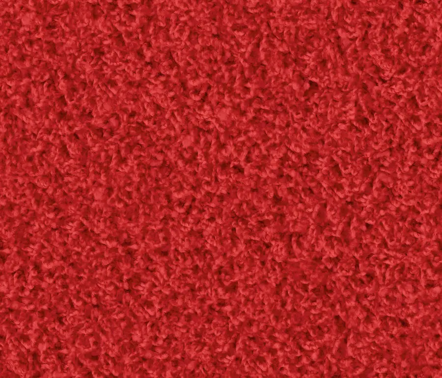 OBJECT CARPET - Poodle 1407 Reddy