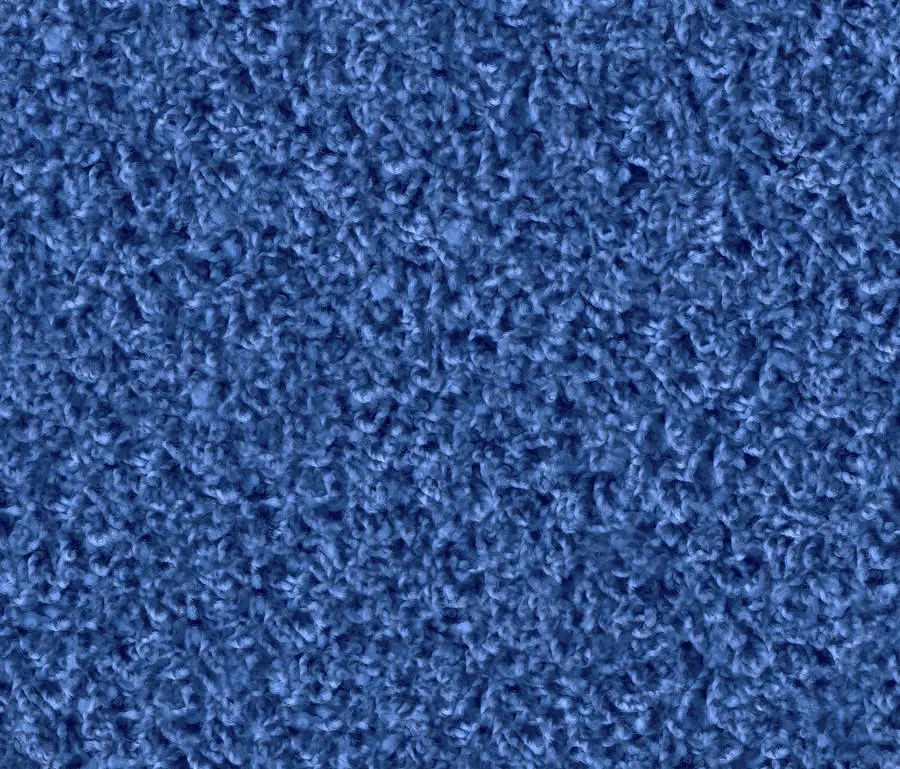 OBJECT CARPET - Poodle 1409 Vergißmeinnicht