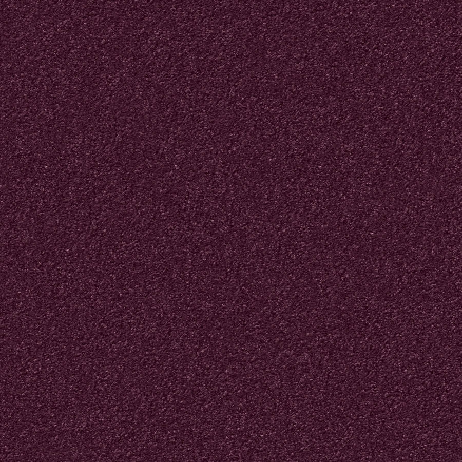 Silky Seal 1207 Brombeer