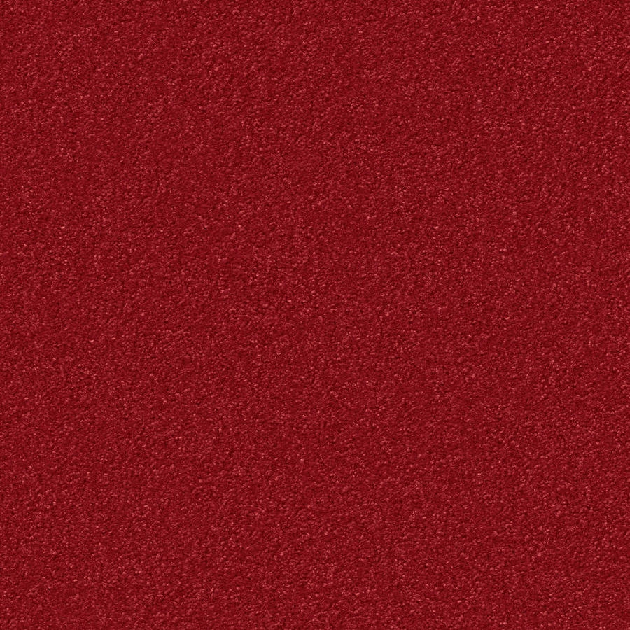Silky Seal 1204 Rubin