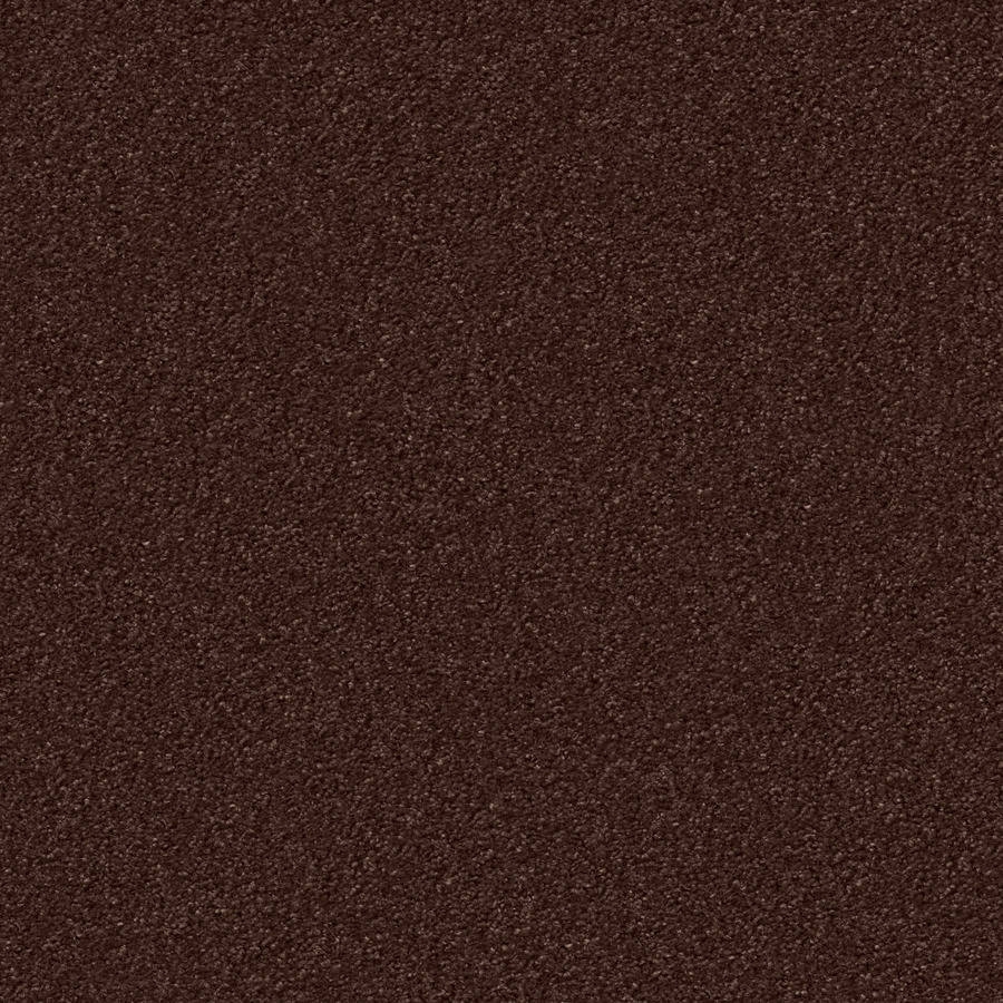 Silky Seal 1216 Brownie