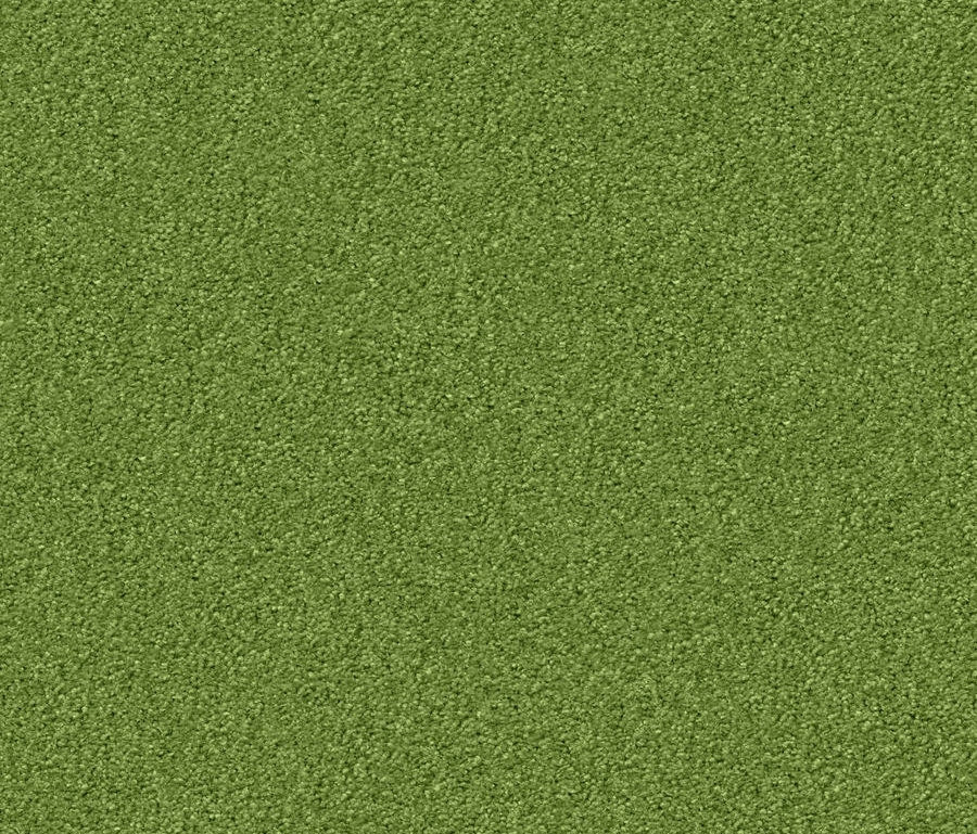 Display product Silky Seal 1227 Kermit from manufacturer OBJECT CARPET