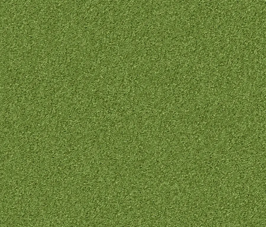 gallery-slide-0