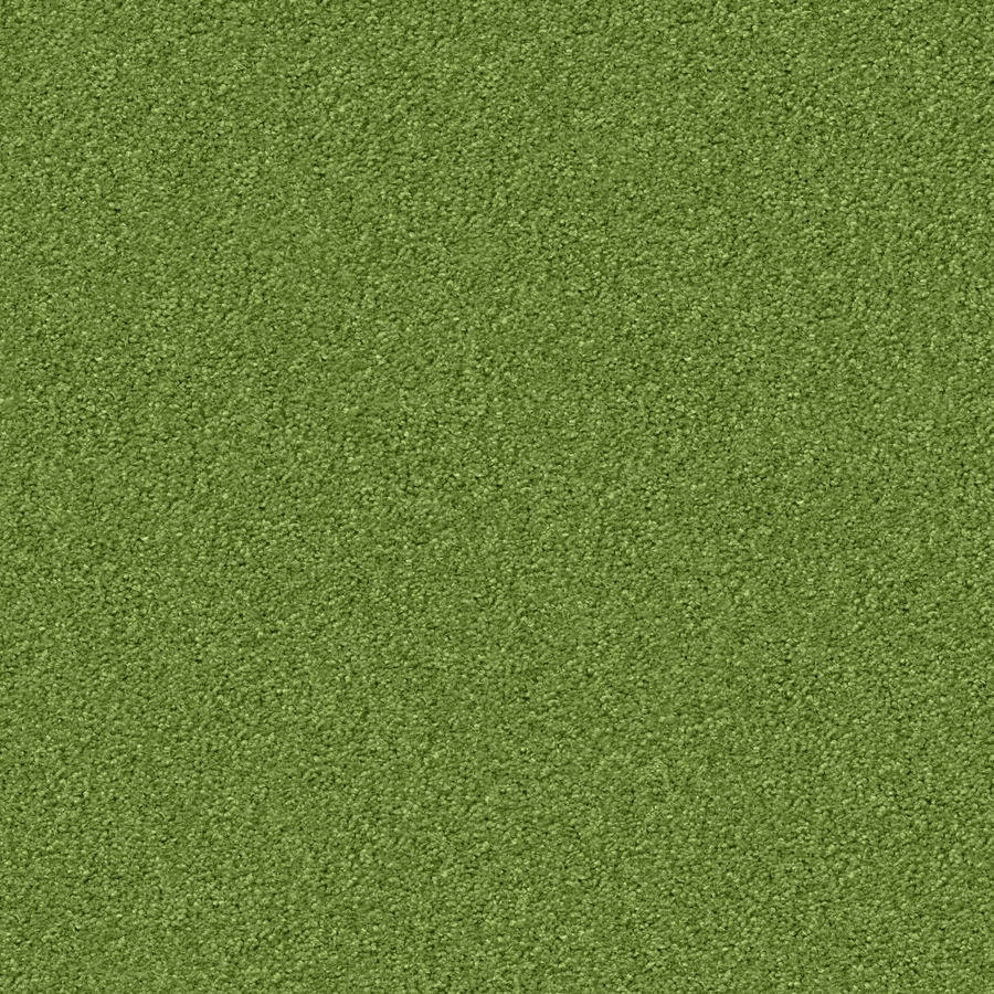 Mostra il prodotto Silky Seal 1227 Kermit del produttore OBJECT CARPET