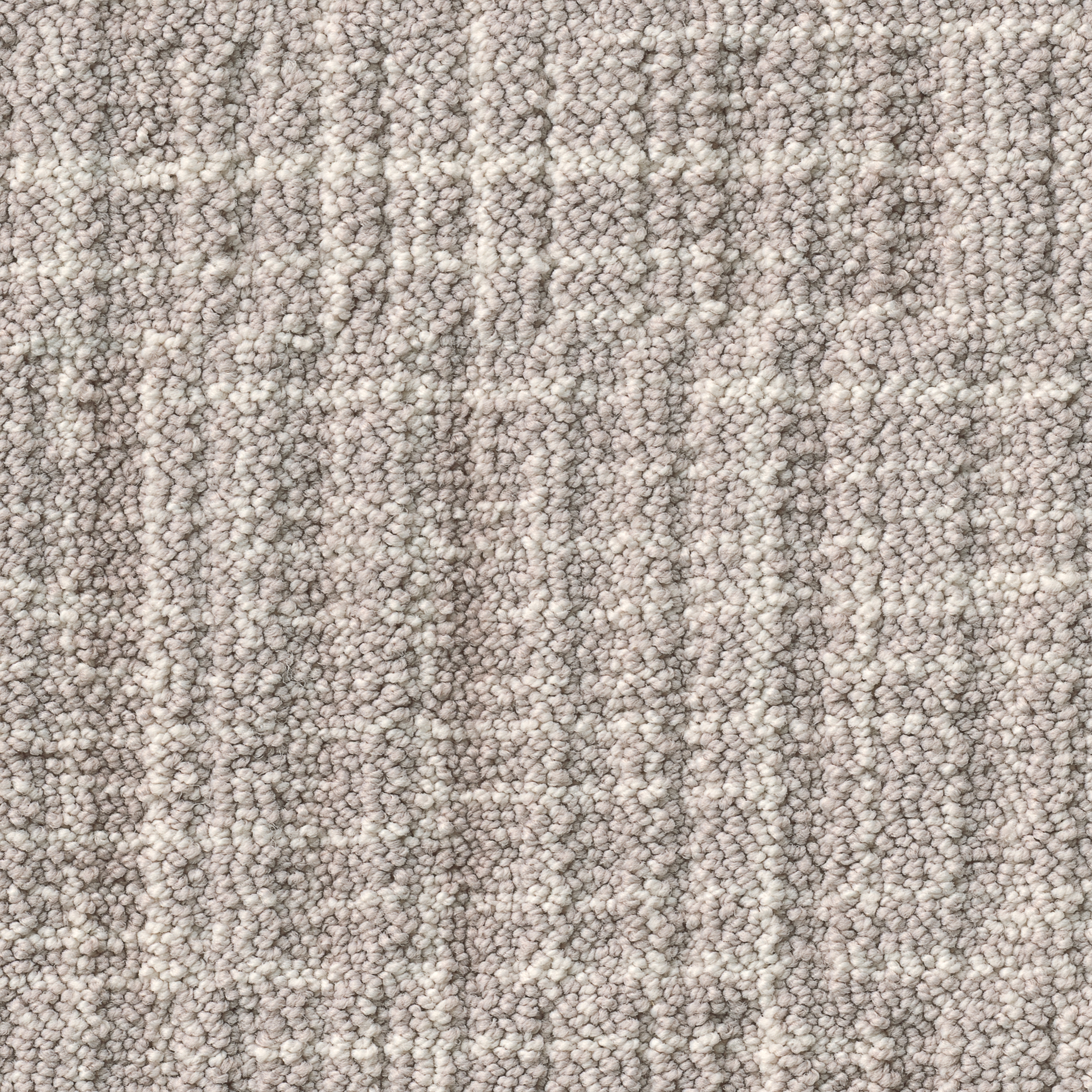 Savoy 1104