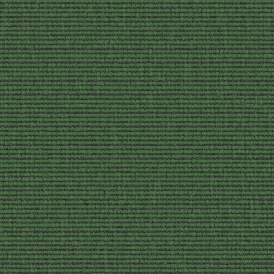 Web Uni 0426 Basilikum