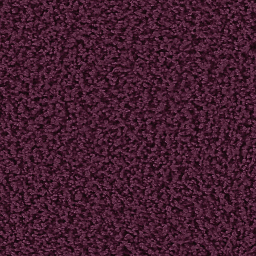 Smoozy 1608 Berry