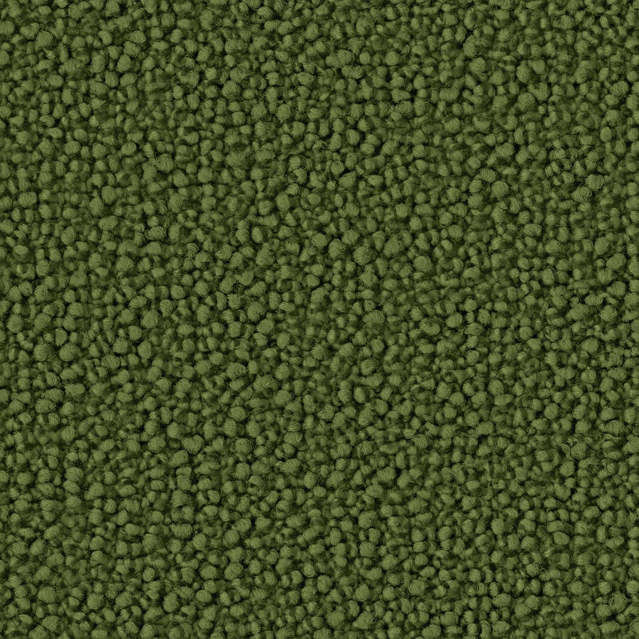Display product Bowlloop 0967 Pinie from manufacturer OBJECT CARPET