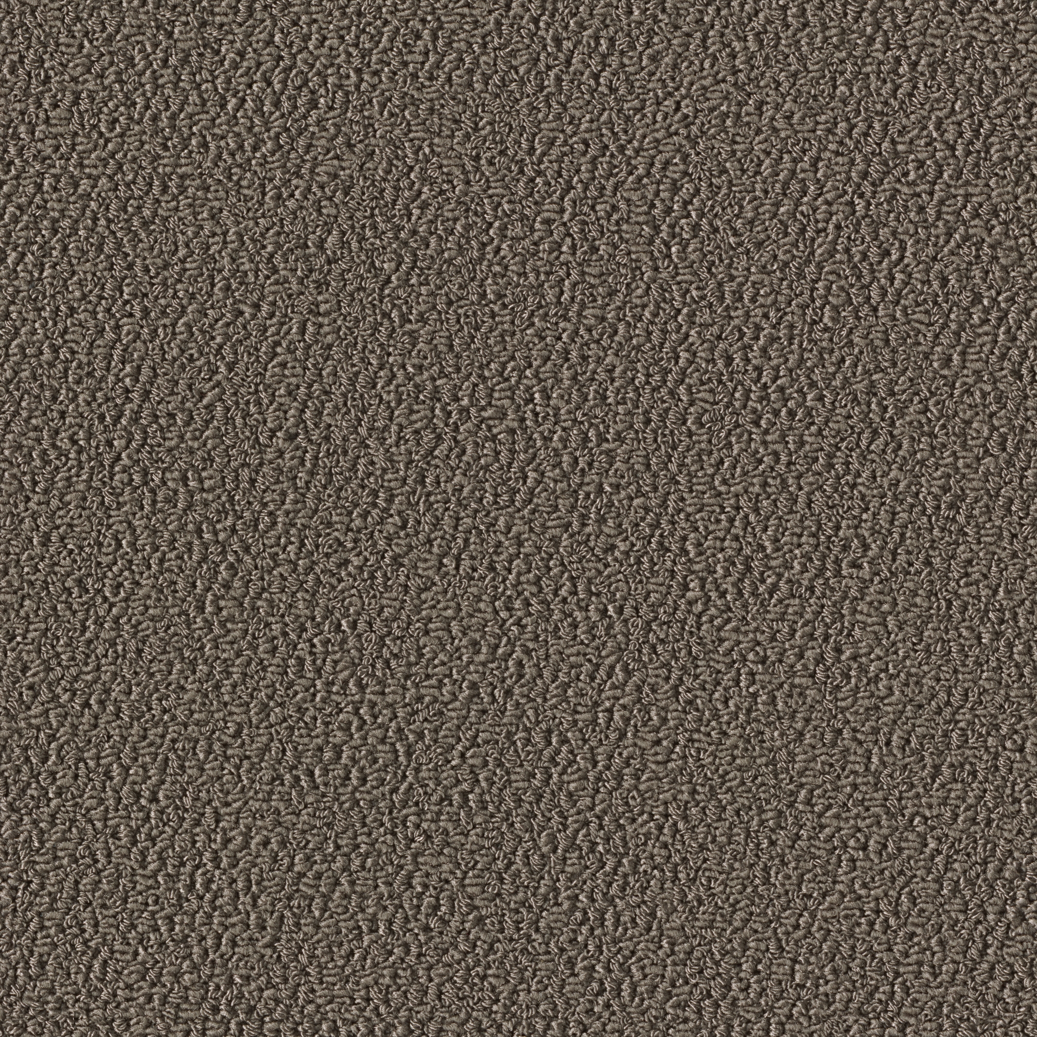Allure 1001 Greige