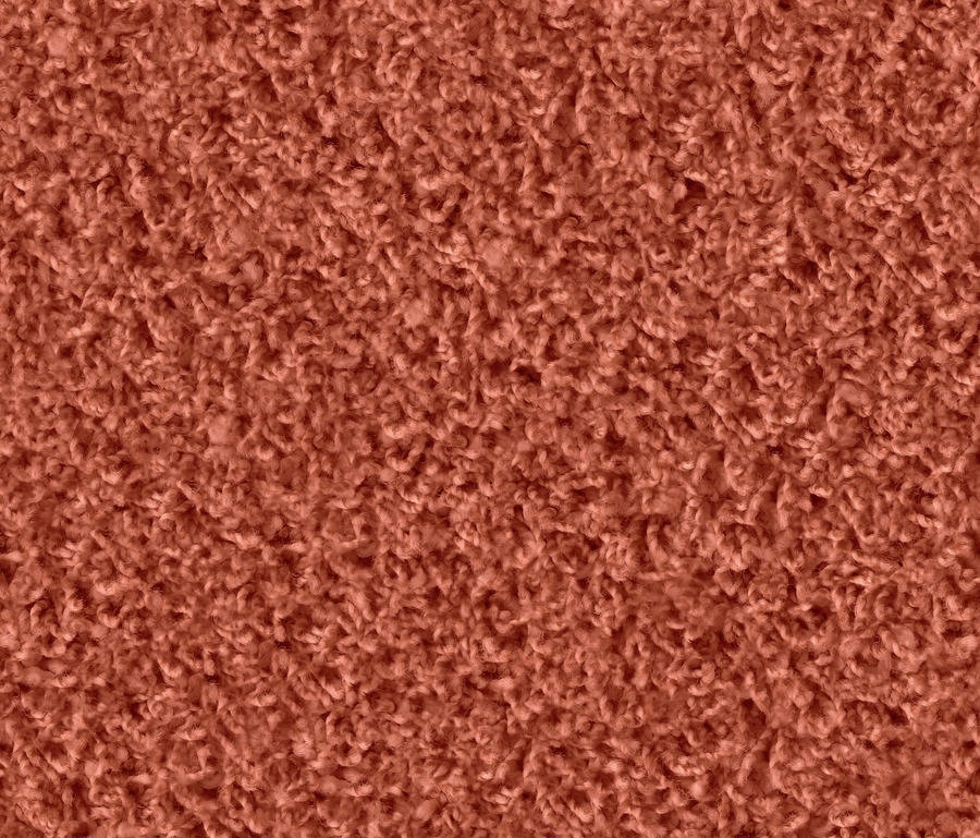 Mostrar el producto Poodle 1473 Terracotta del fabricante OBJECT CARPET