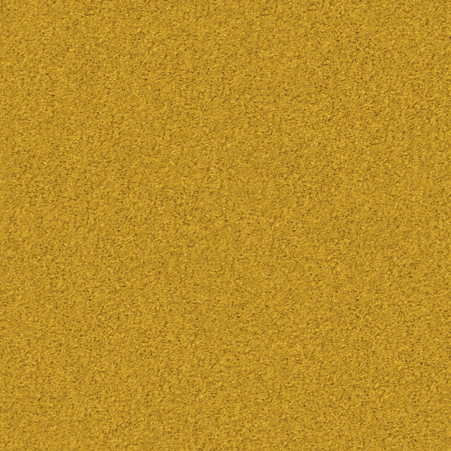 Produkt Silky Seal 1211 Glossy Velours Starlight des Herstellers OBJECT CARPET anzeigen