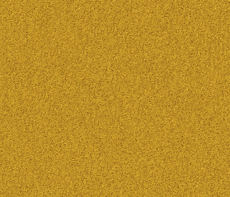 Mostrar el producto Silky Seal 1211 Glossy Velours Starlight del fabricante OBJECT CARPET