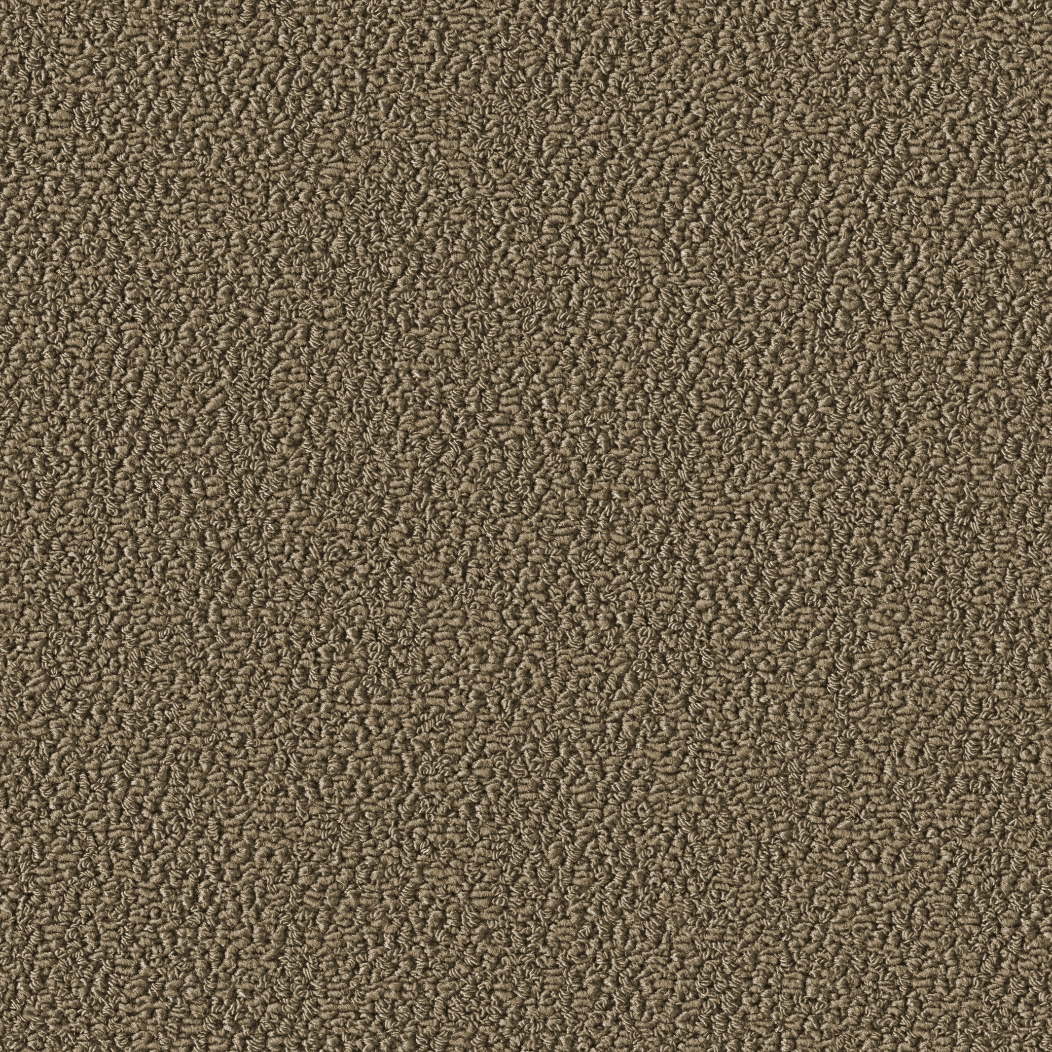 Allure 1002 Sandy