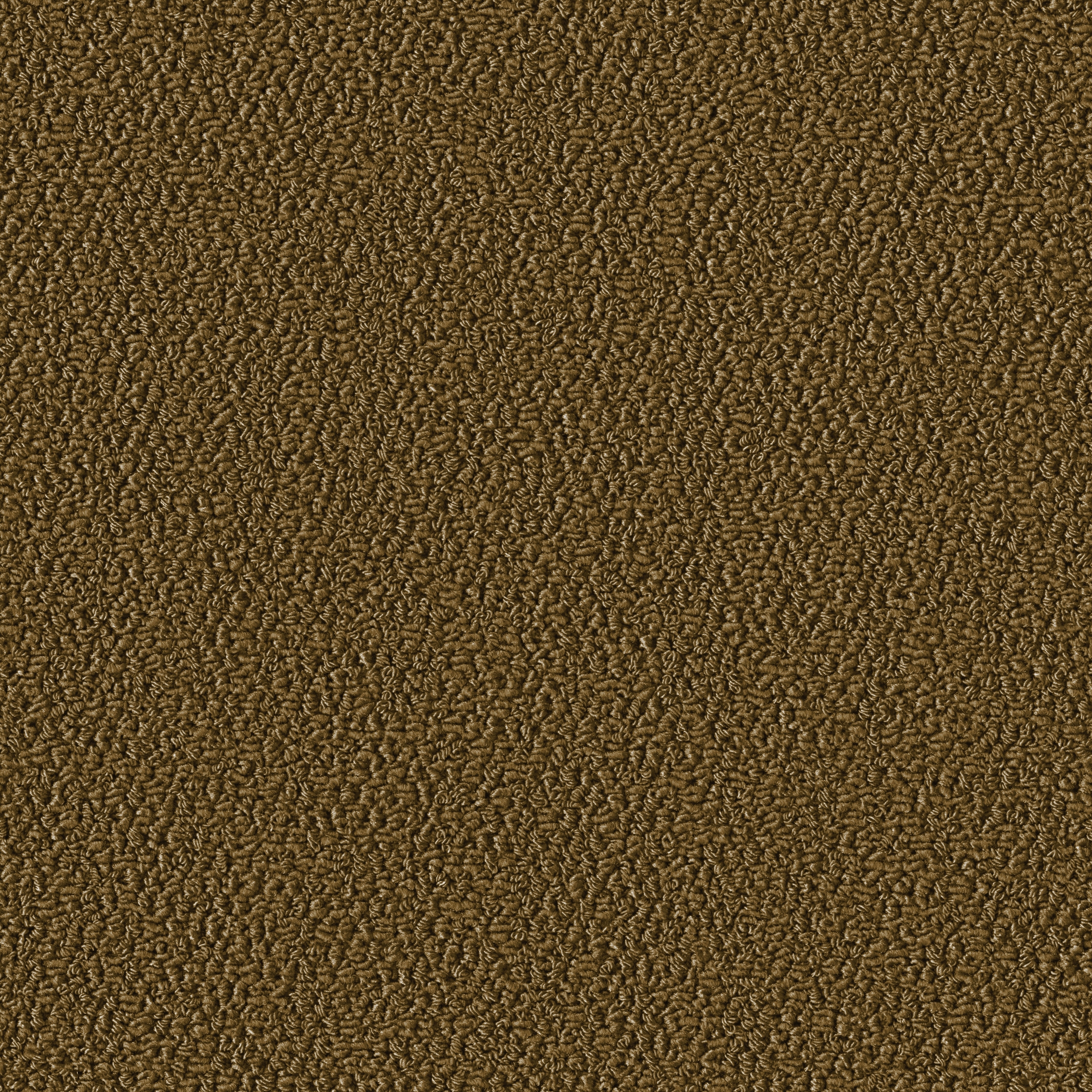 Allure 1004 Safari