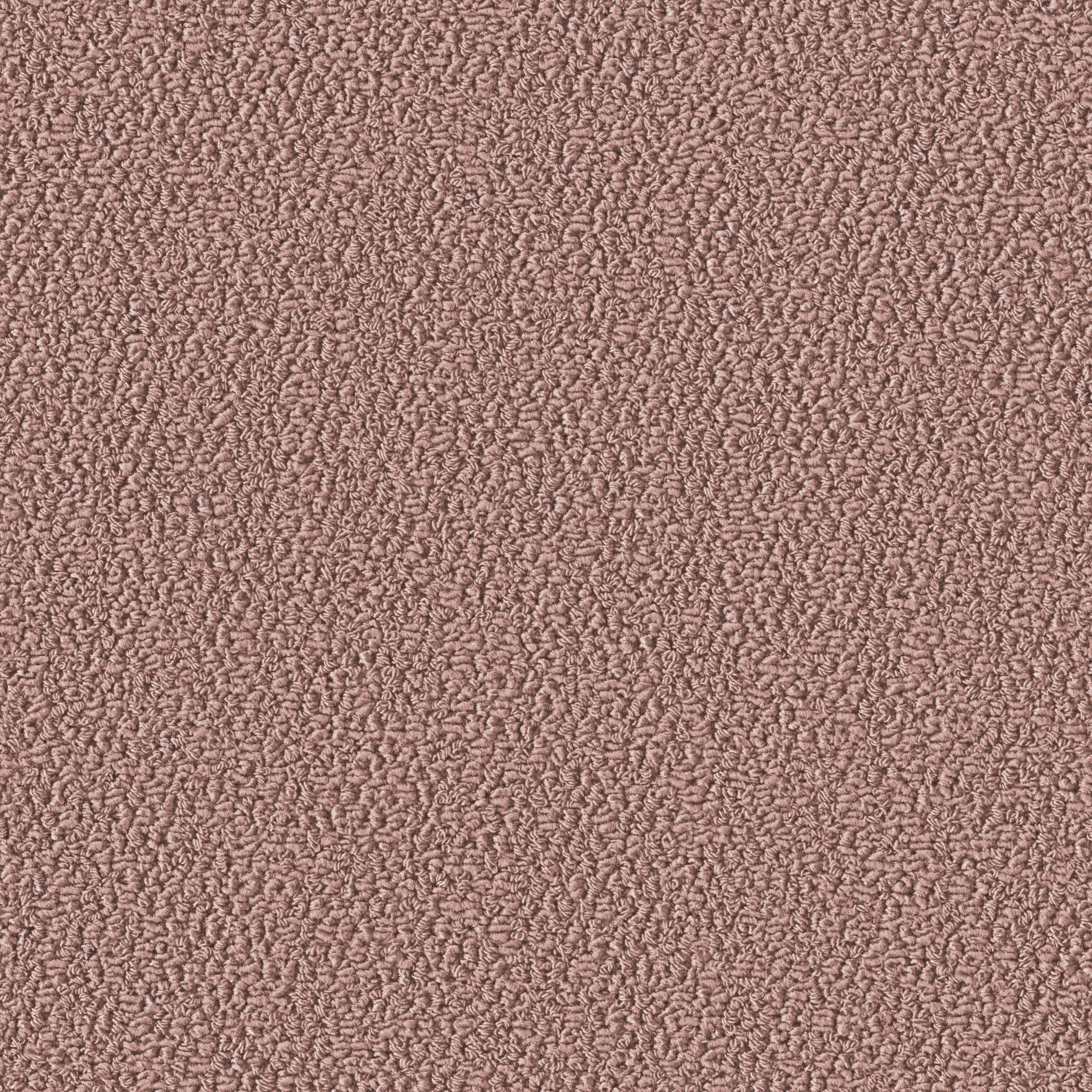 Allure 1005 Flamingo