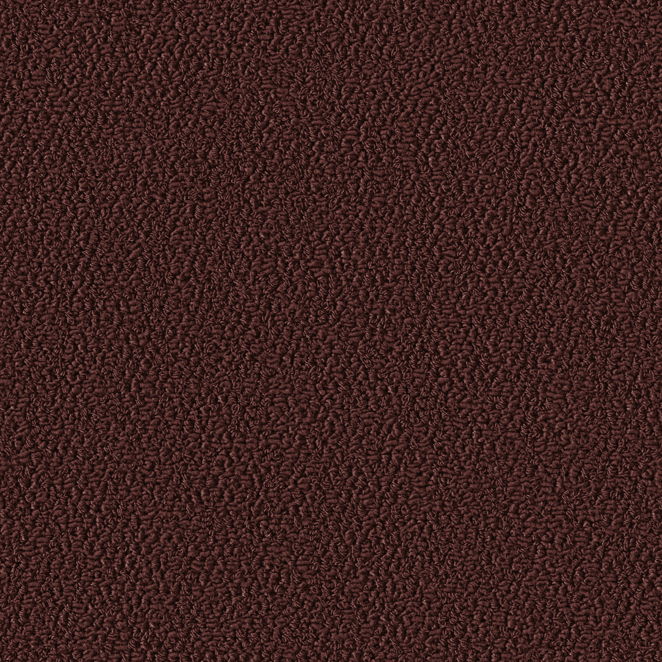 Allure 1006 Goji