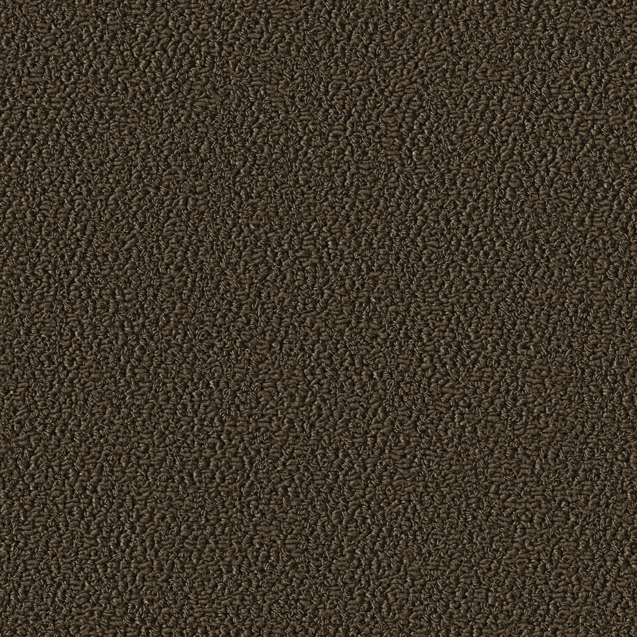 Allure 1008 Mocca