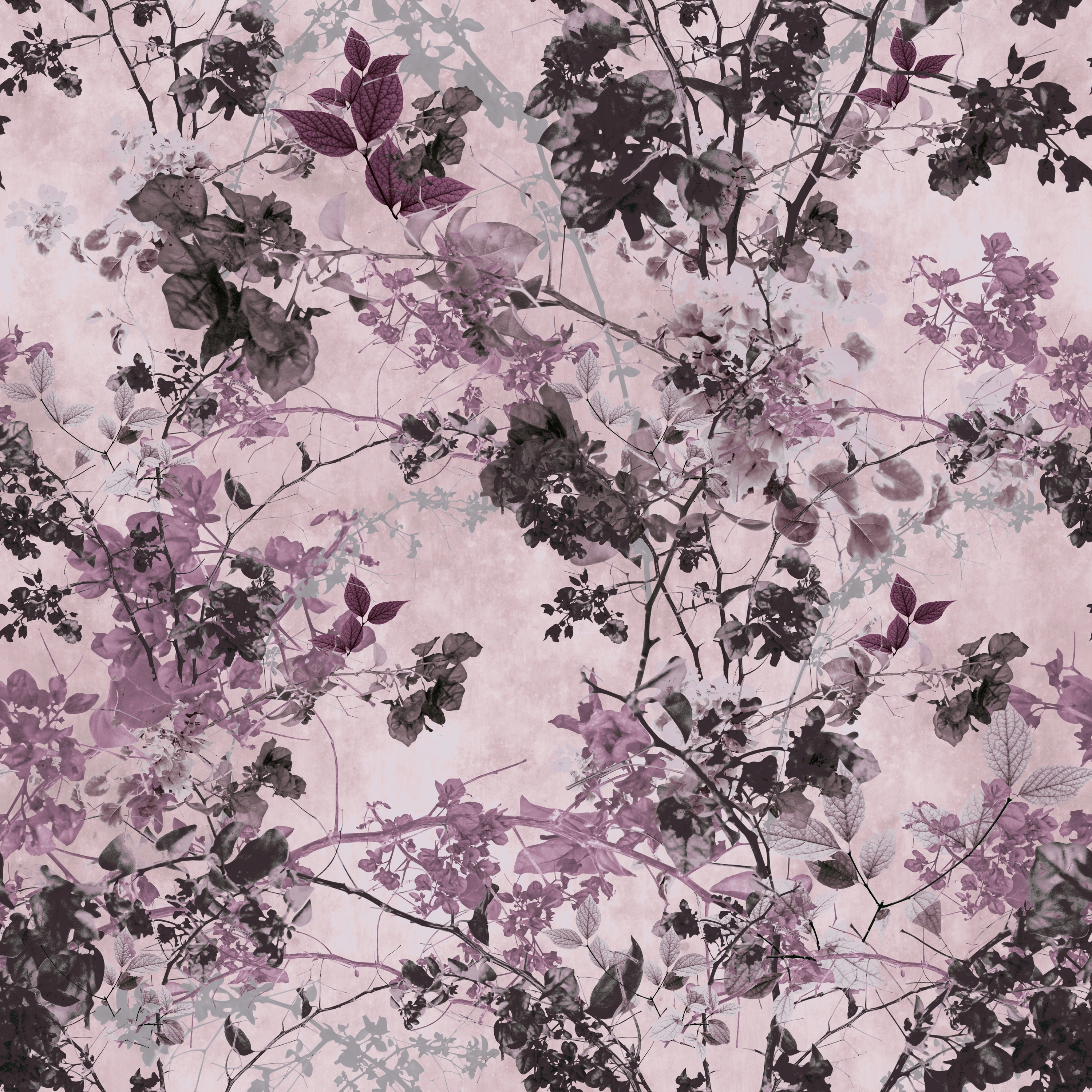 Display product Miley 1001
Structured Loop from manufacturer OBJECT CARPET