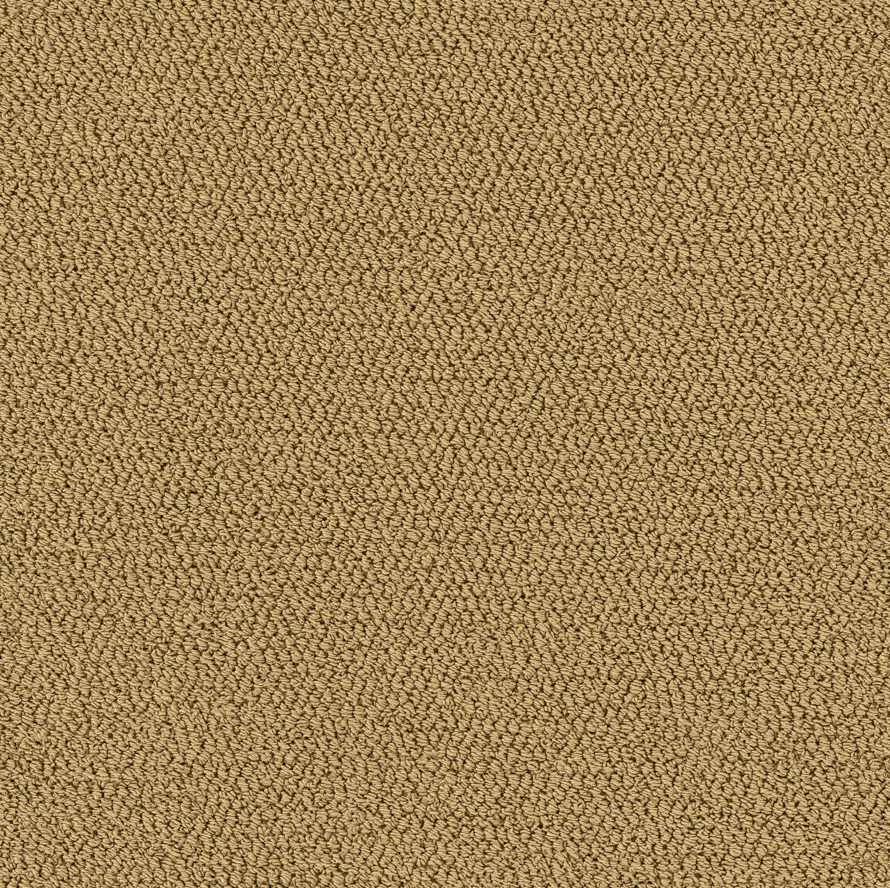 OBJECT CARPET - Skill x Chill 1231