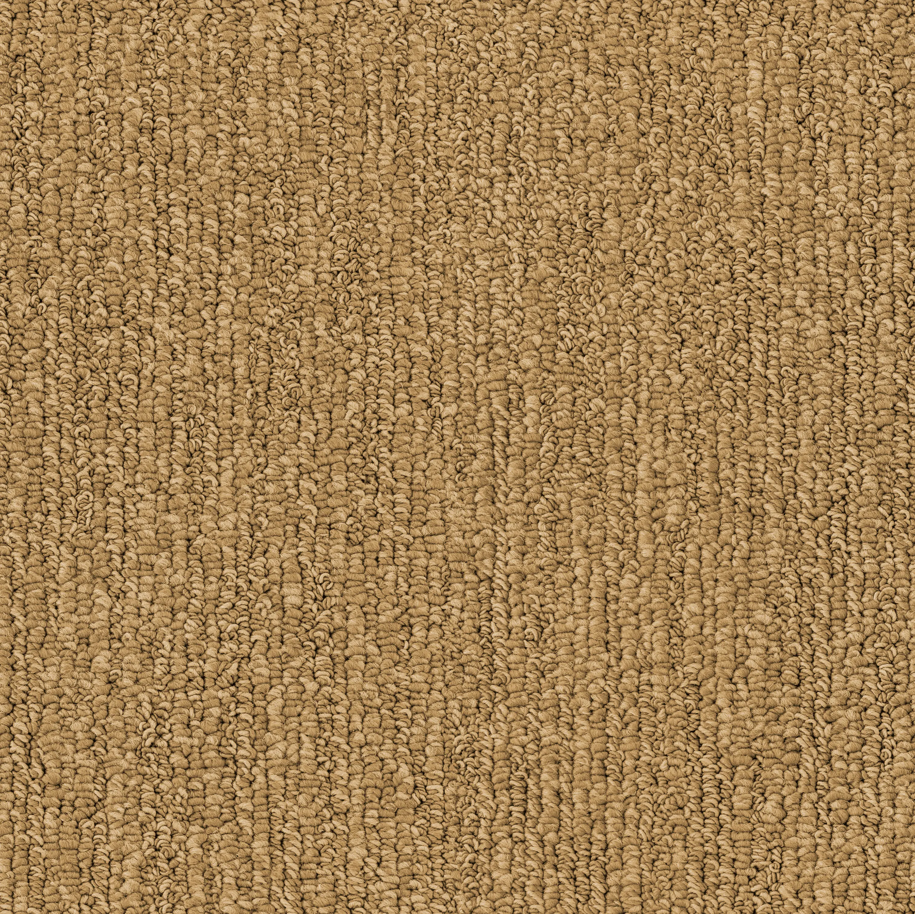 OBJECT CARPET - Meet x Beat 1030