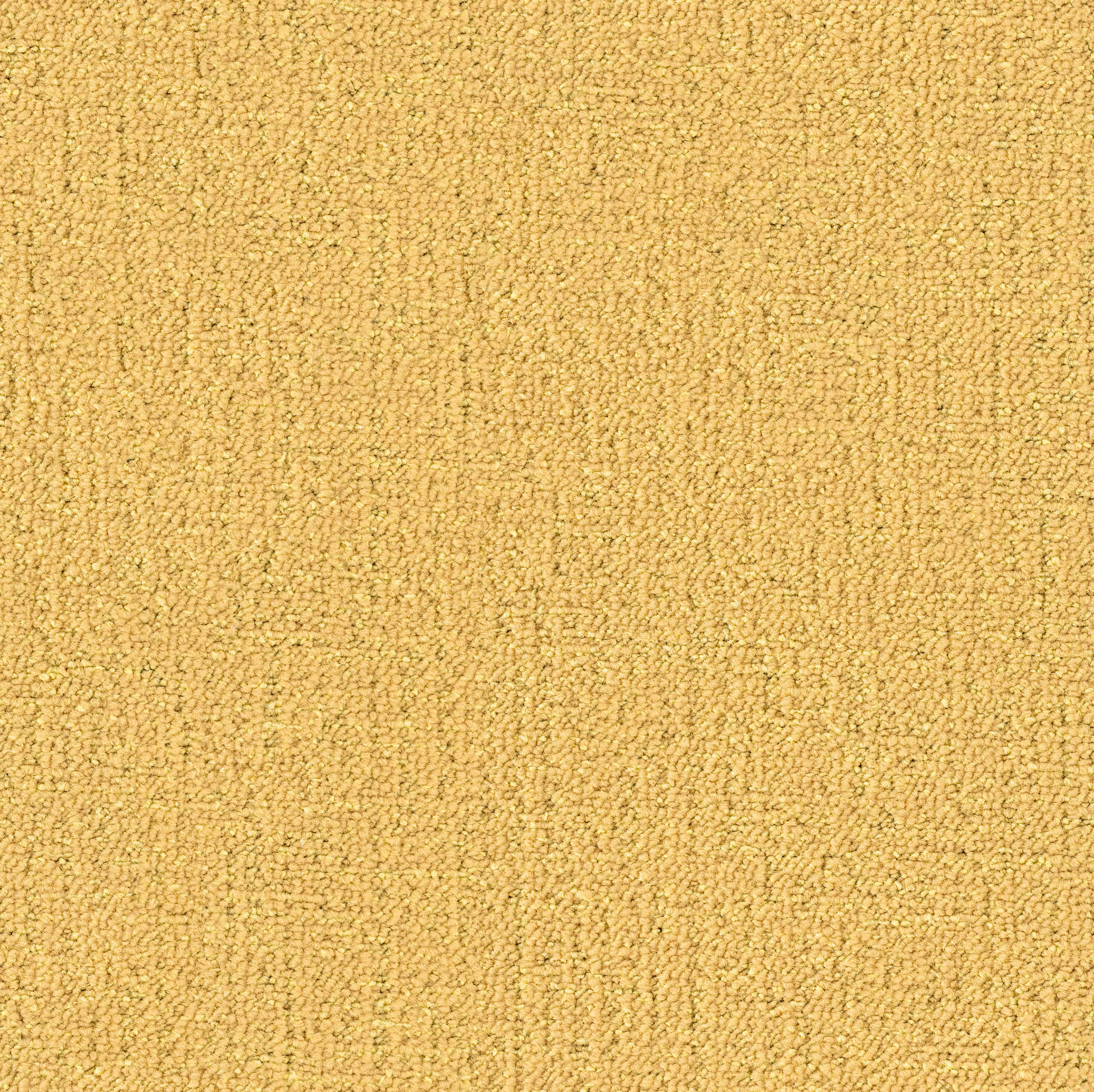 OBJECT CARPET - Moove x Groove 730