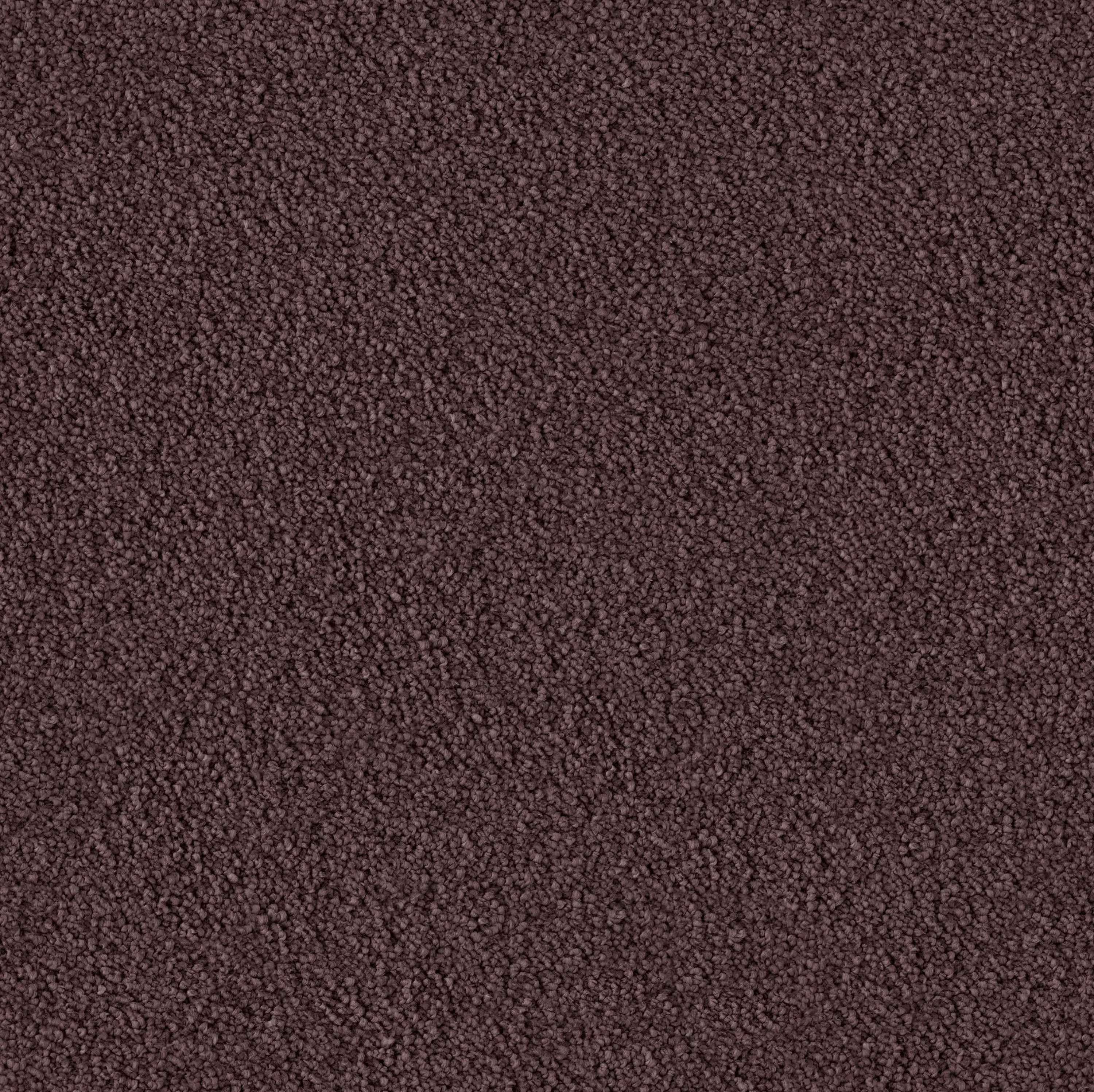 OBJECT CARPET - Highs x Sighs 2251