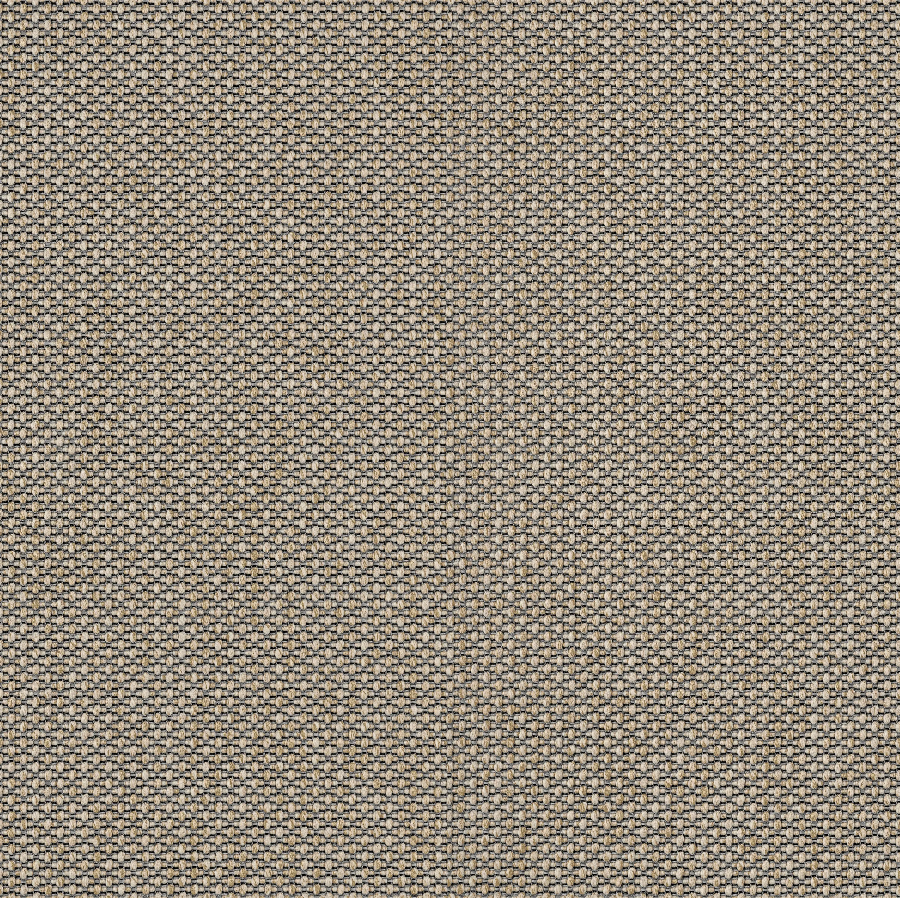 OBJECT CARPET - Walk x Talk 710