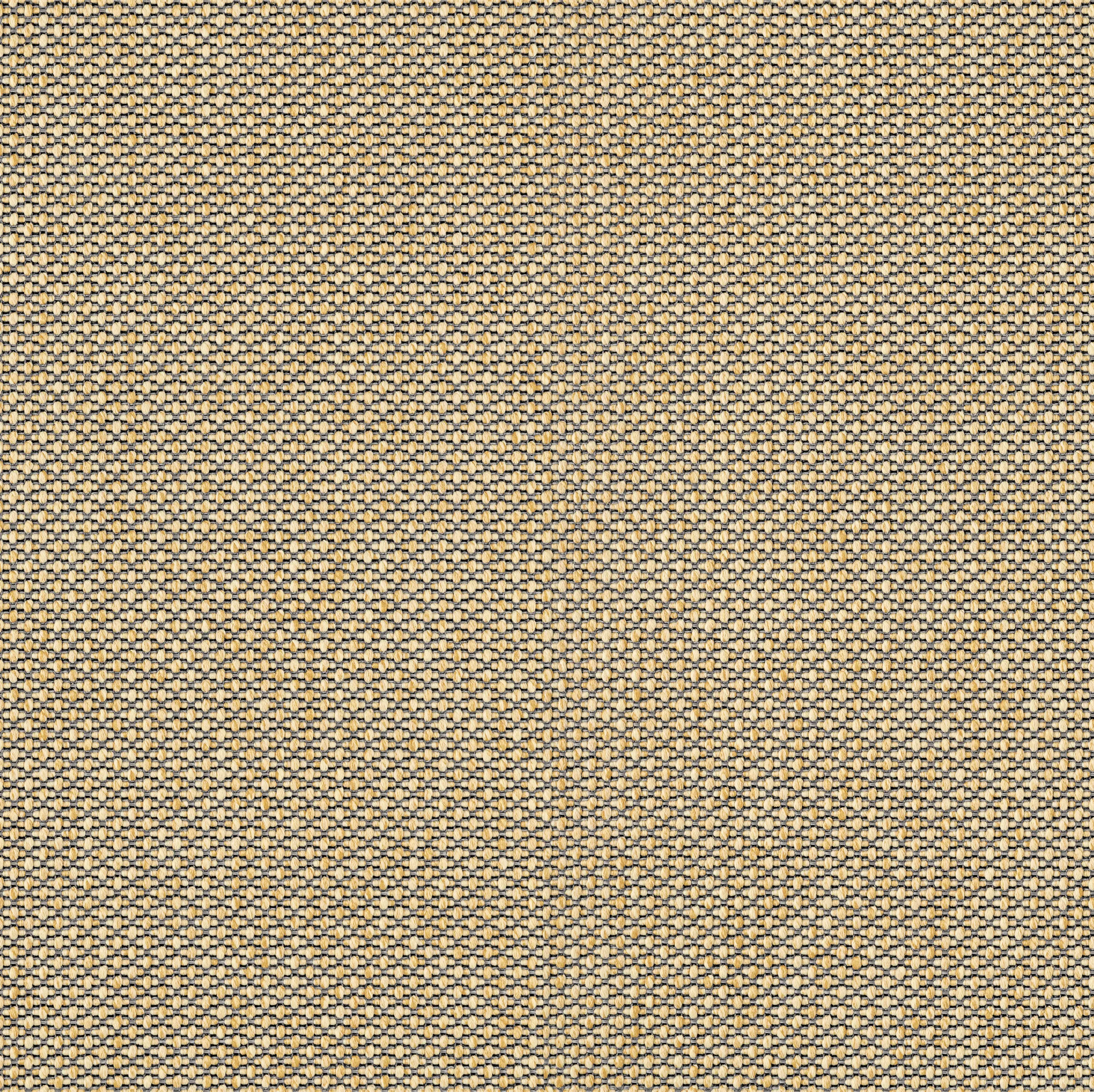 OBJECT CARPET - Walk x Talk 738