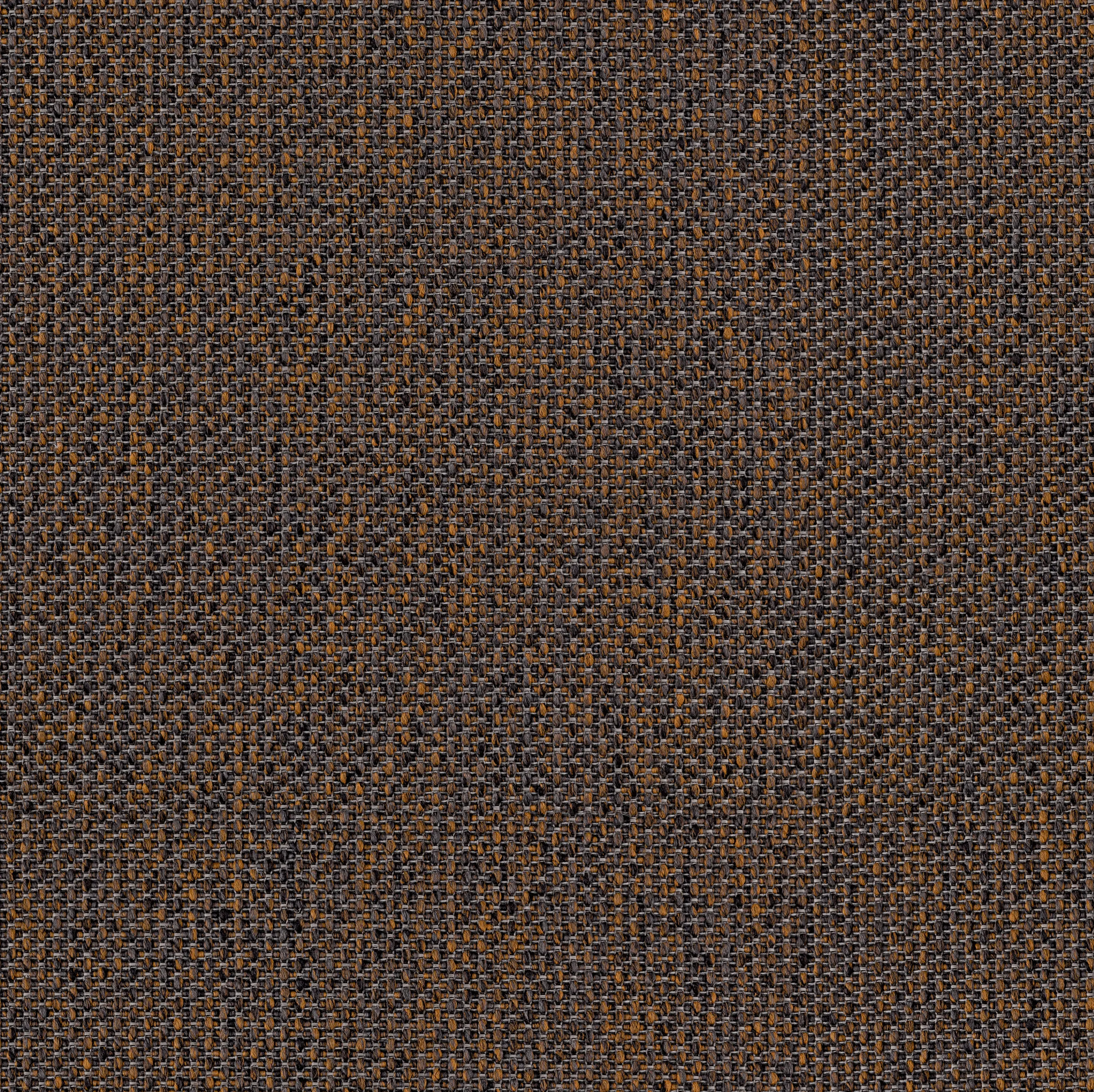 OBJECT CARPET - Walk x Talk 750