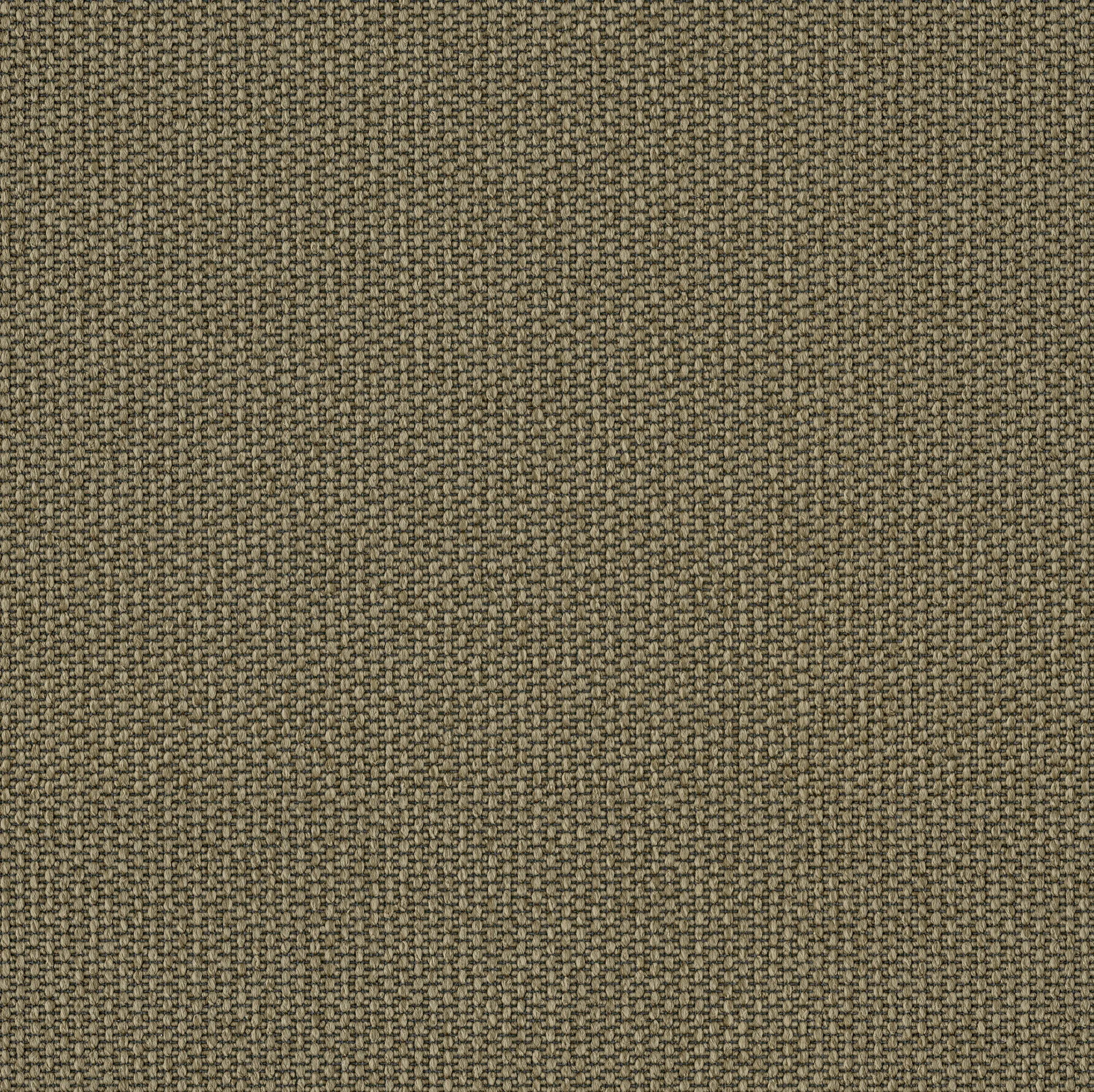 OBJECT CARPET - Walk x Talk 673