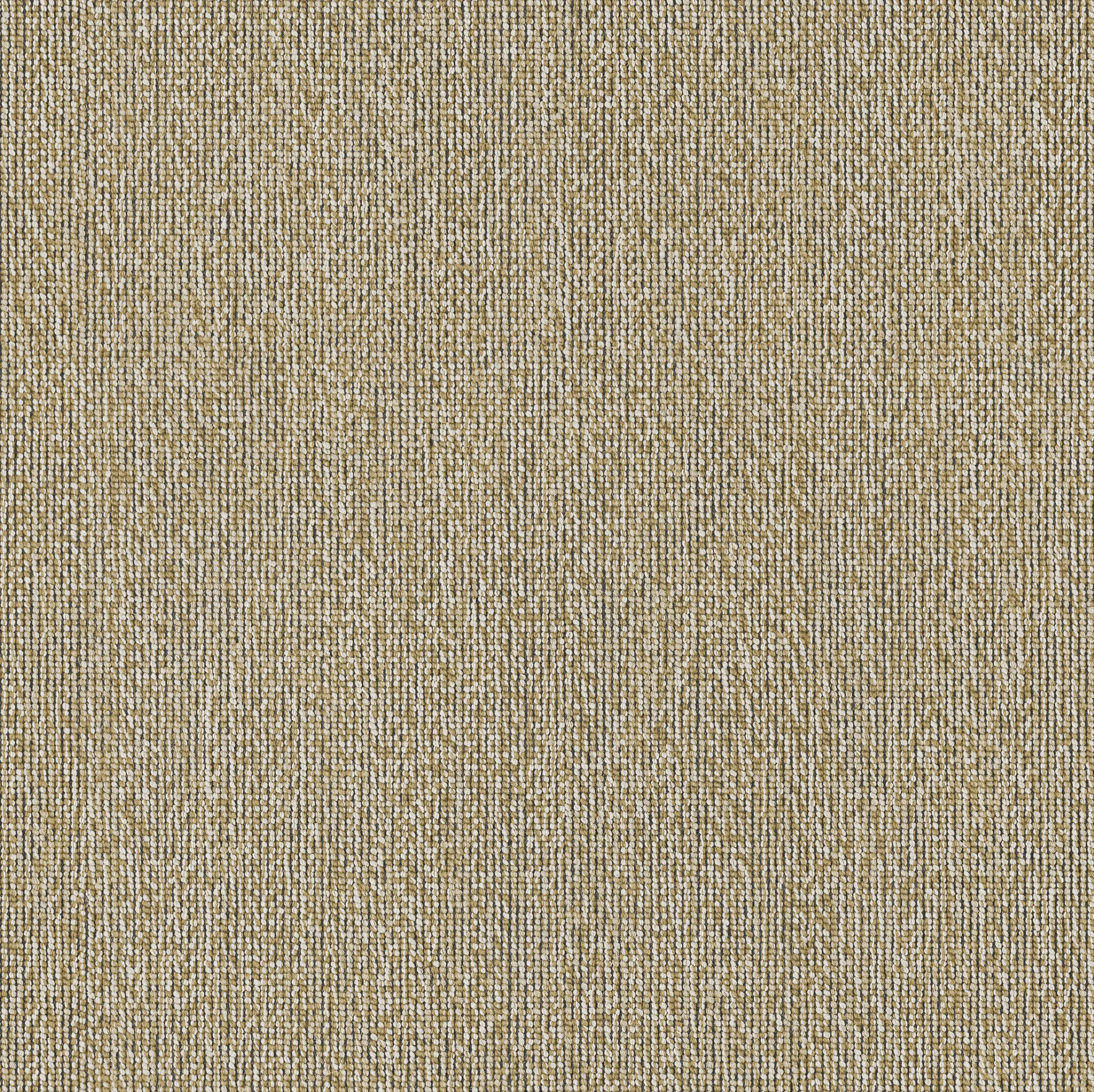 OBJECT CARPET - Craze x Chase 710