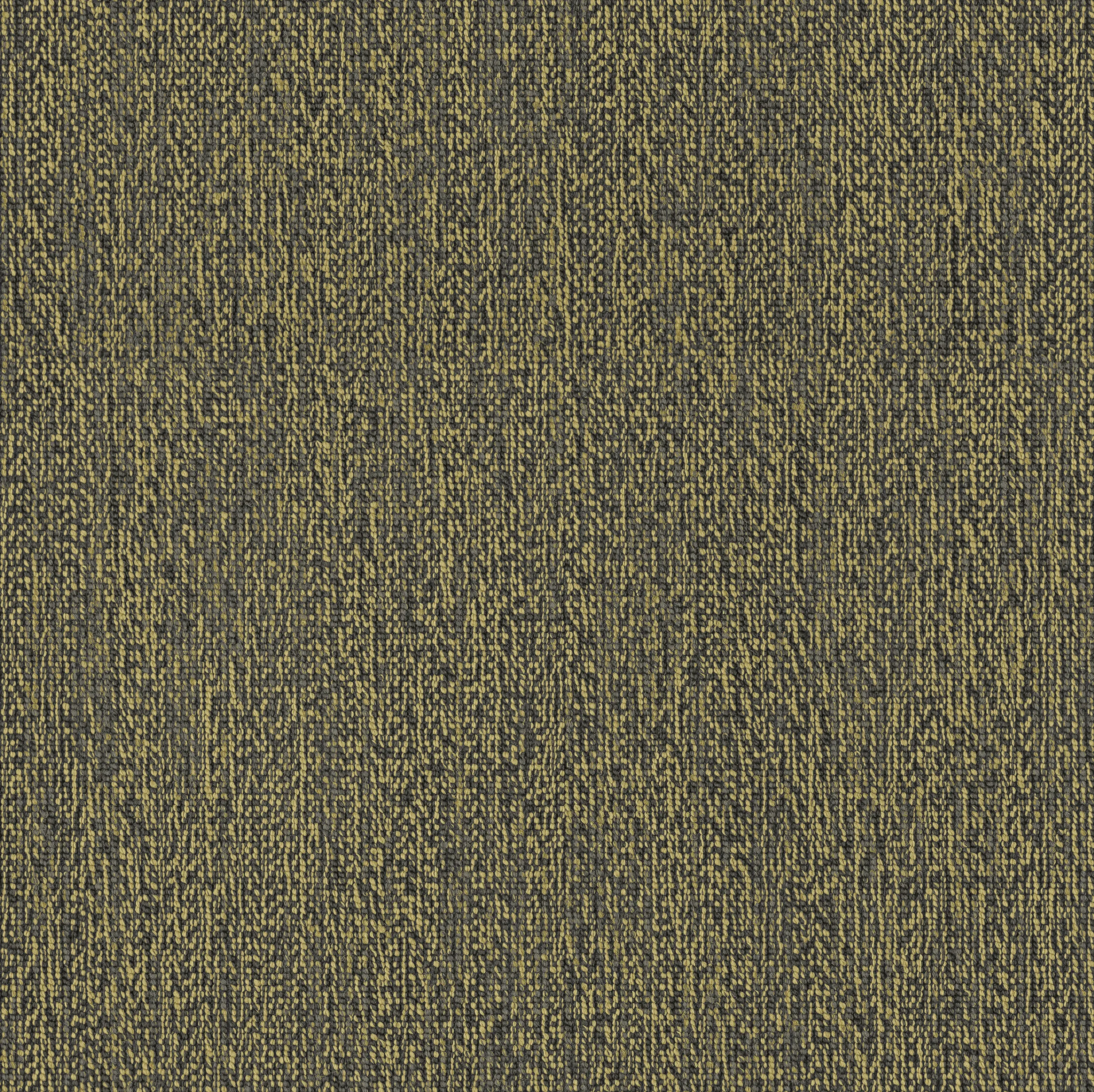 OBJECT CARPET - Craze x Chase 770