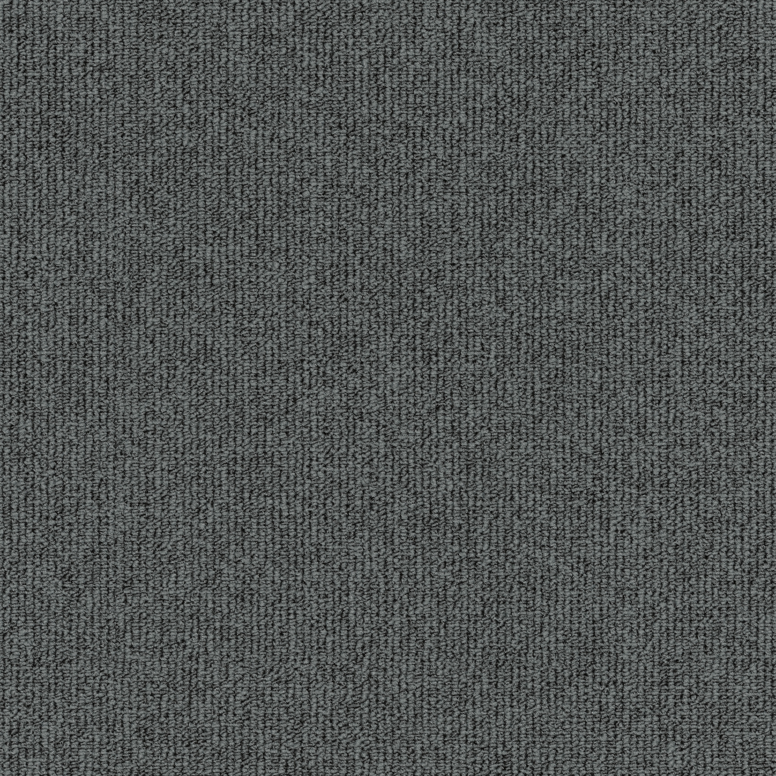 Concept One 7305 Donkey