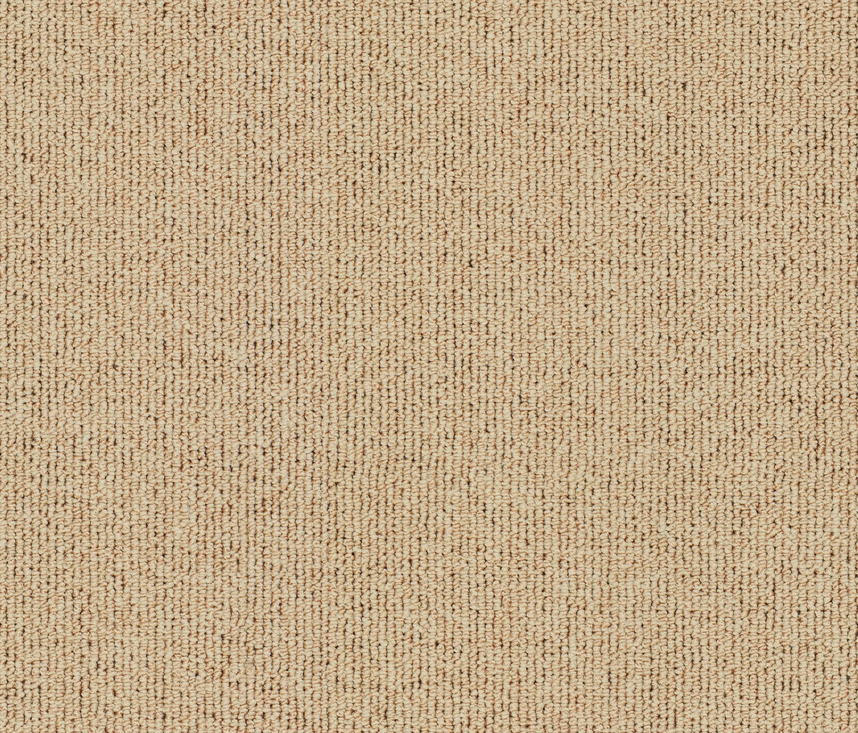 OBJECT CARPET - Concept One 7308 Arena