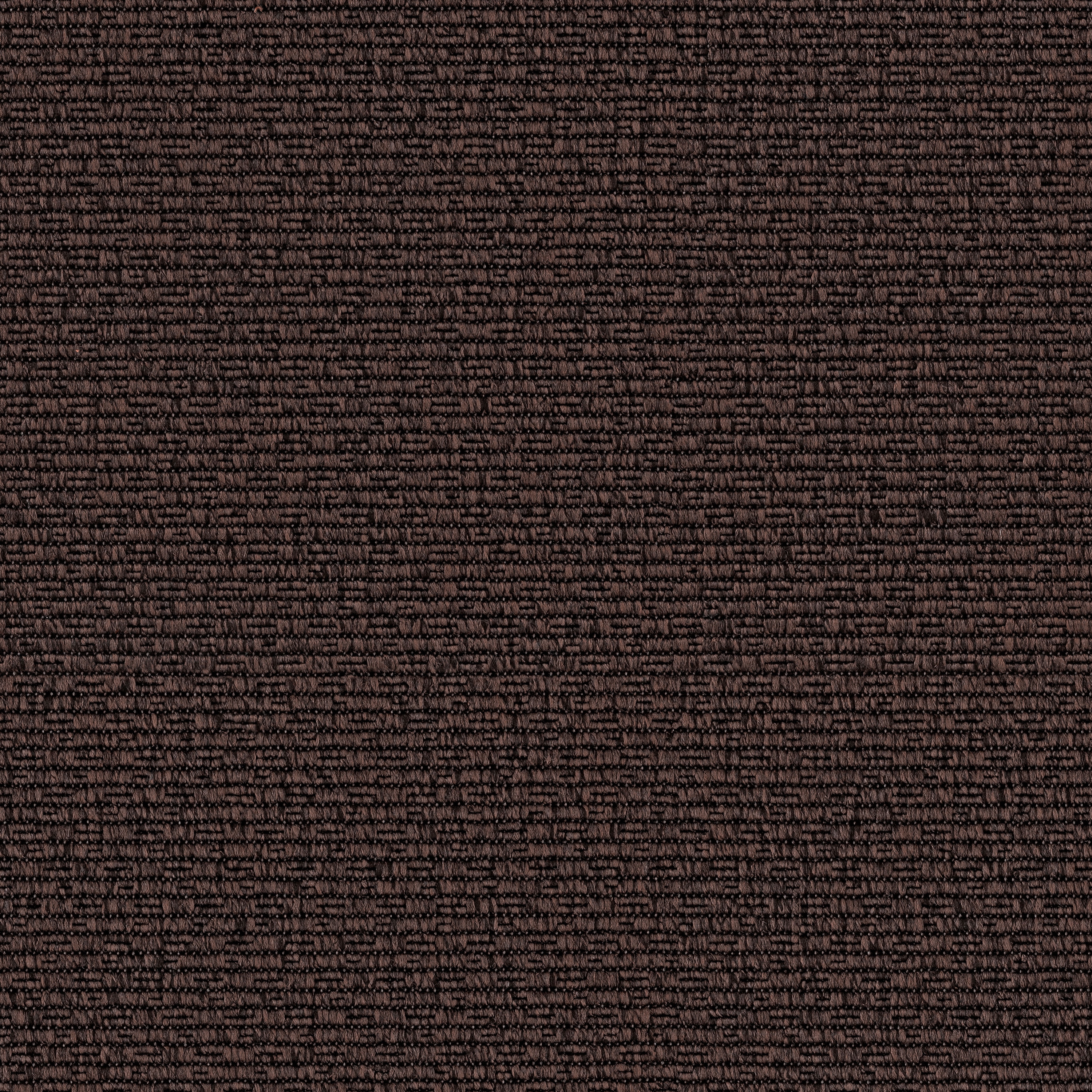 Cord Web 1078 Dark Forest