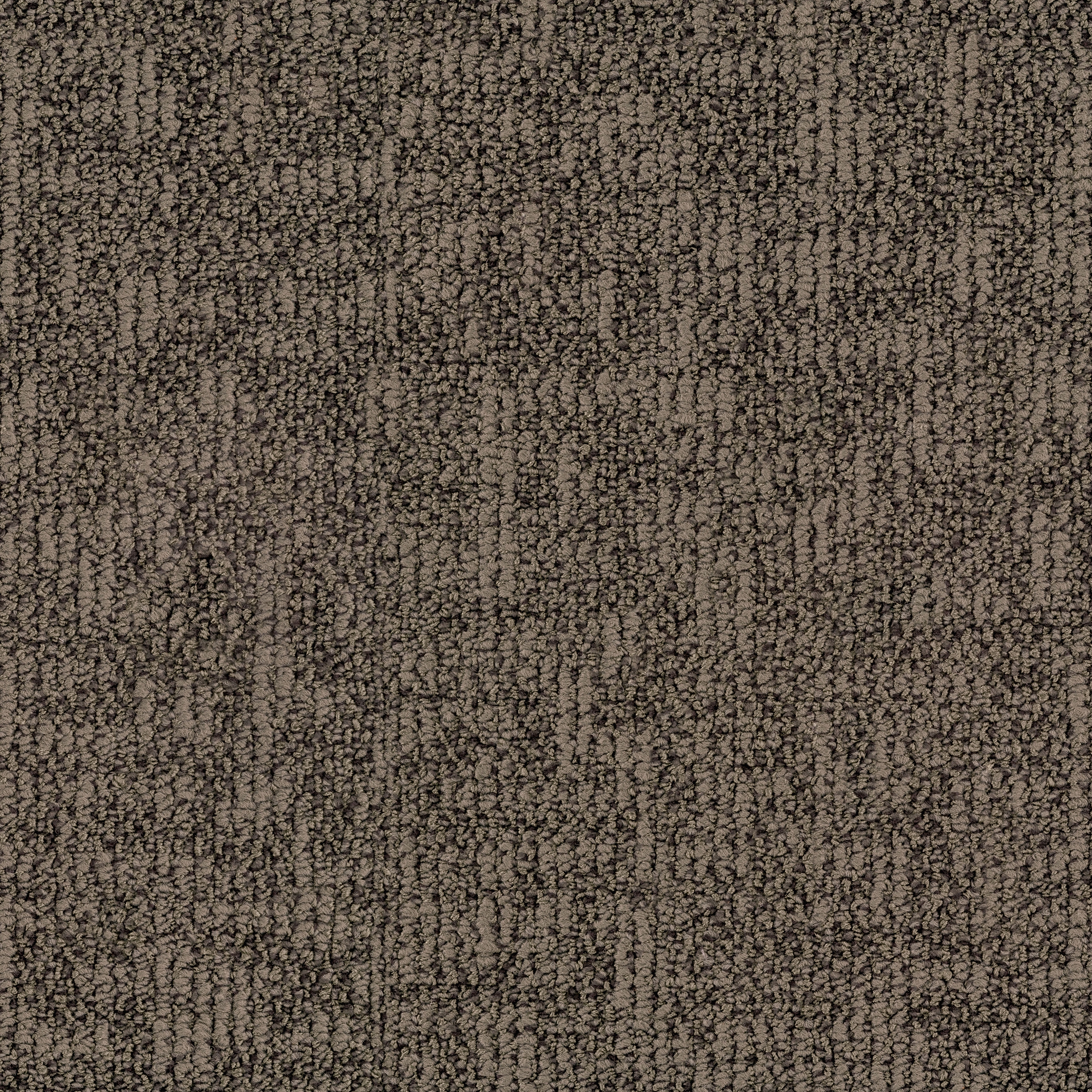 Cryptive 1891 Lava Rock