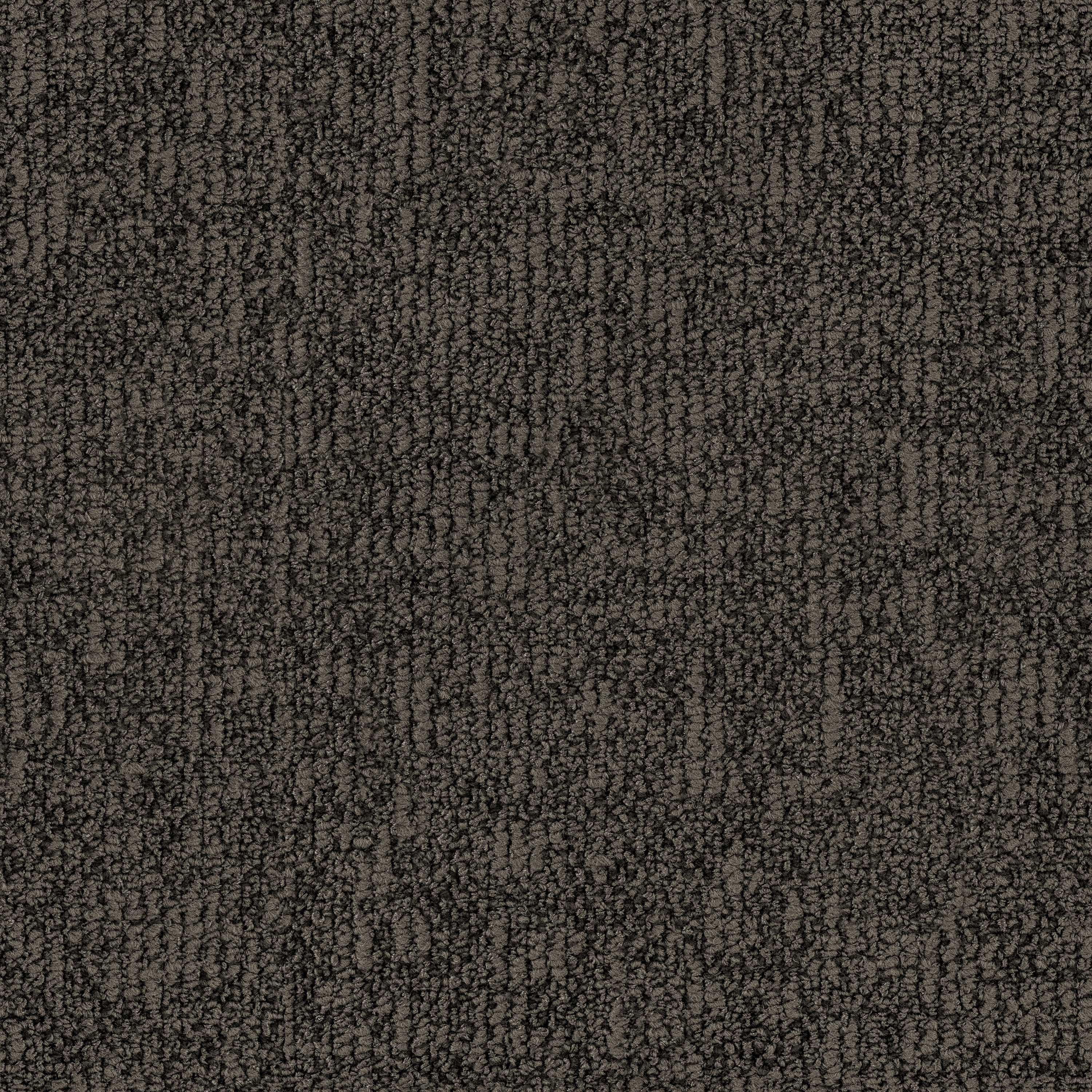 Cryptive 1892 Black Earth