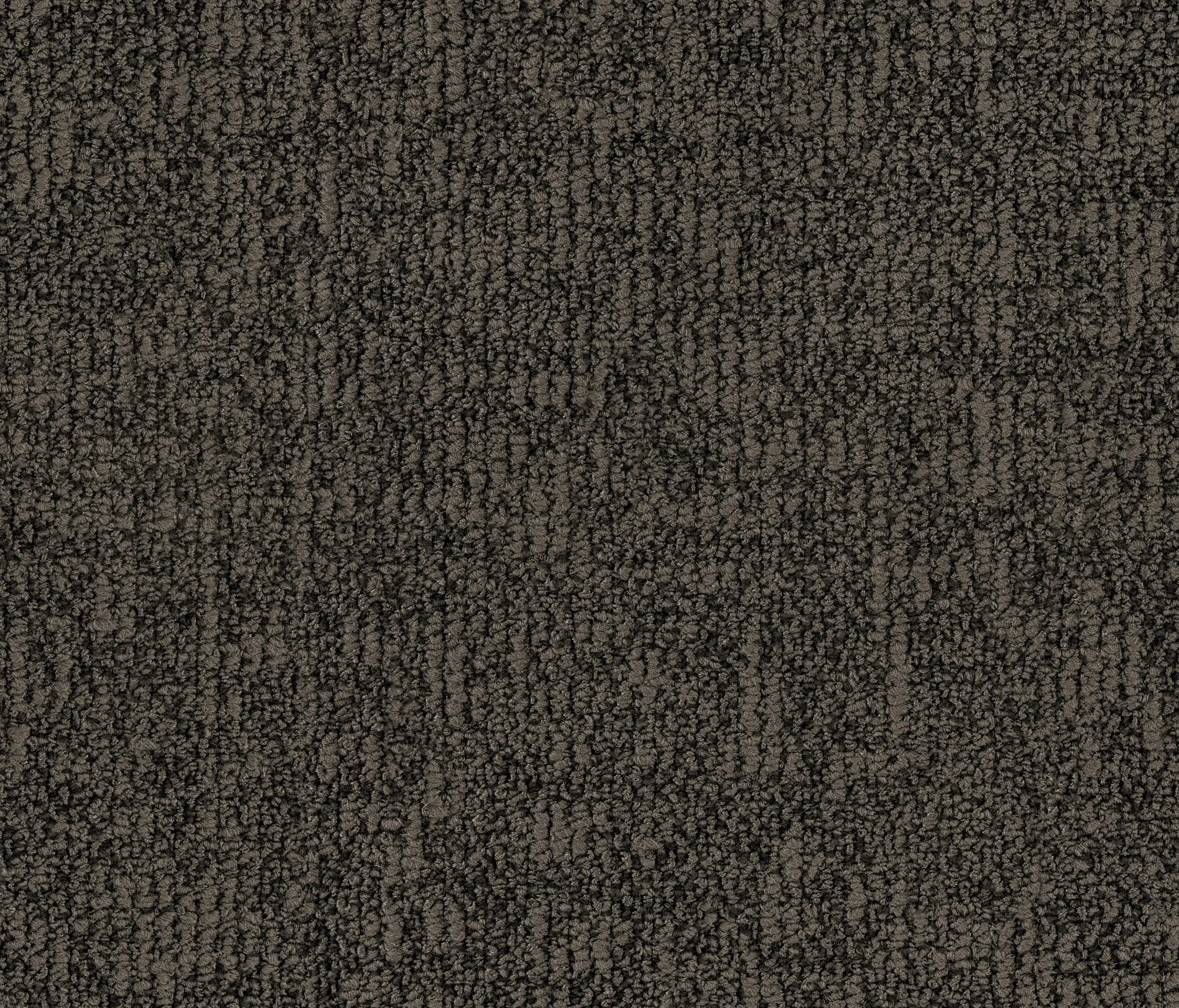 OBJECT CARPET - Cryptive 1892 Black Earth