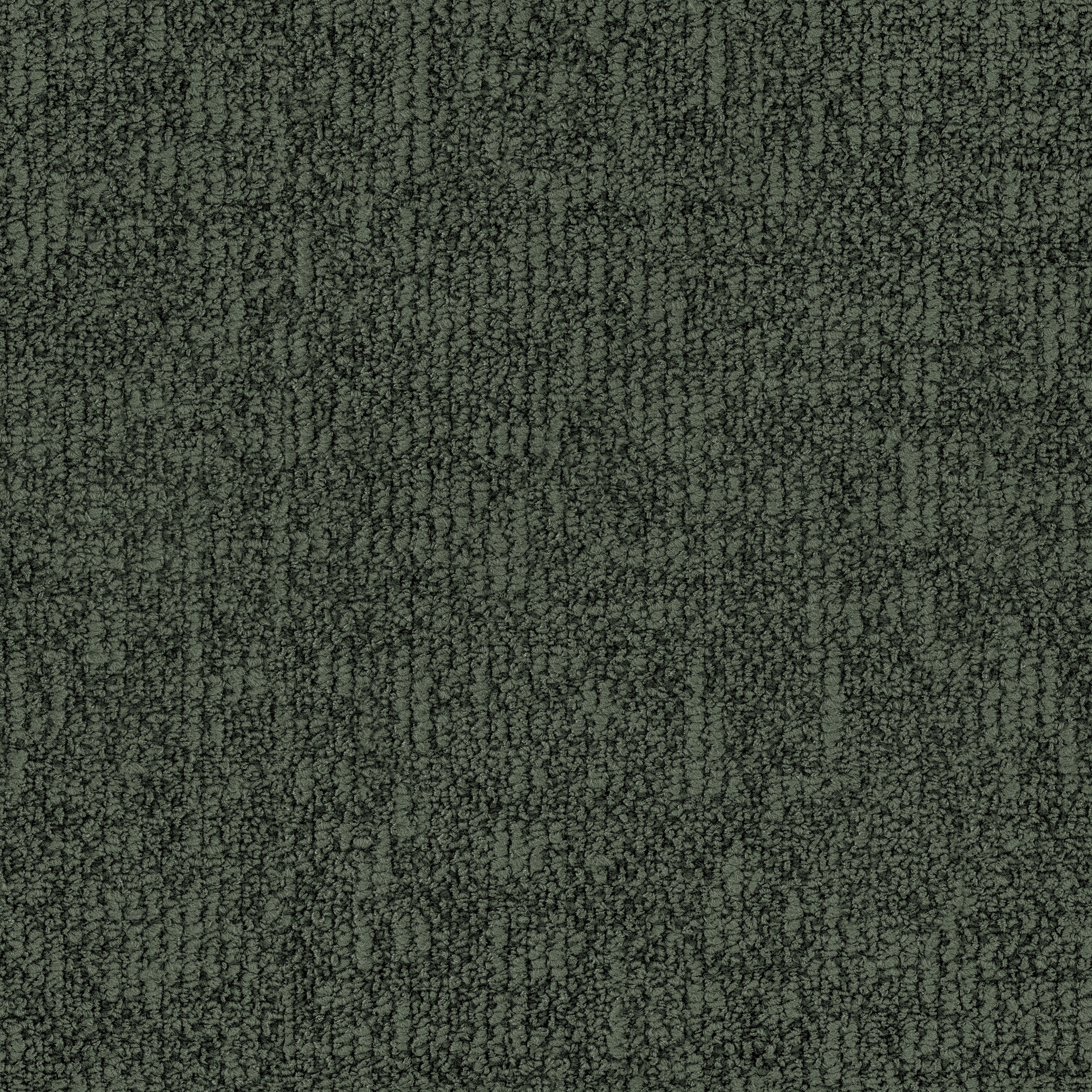 Cryptive 1894 Wild Nature