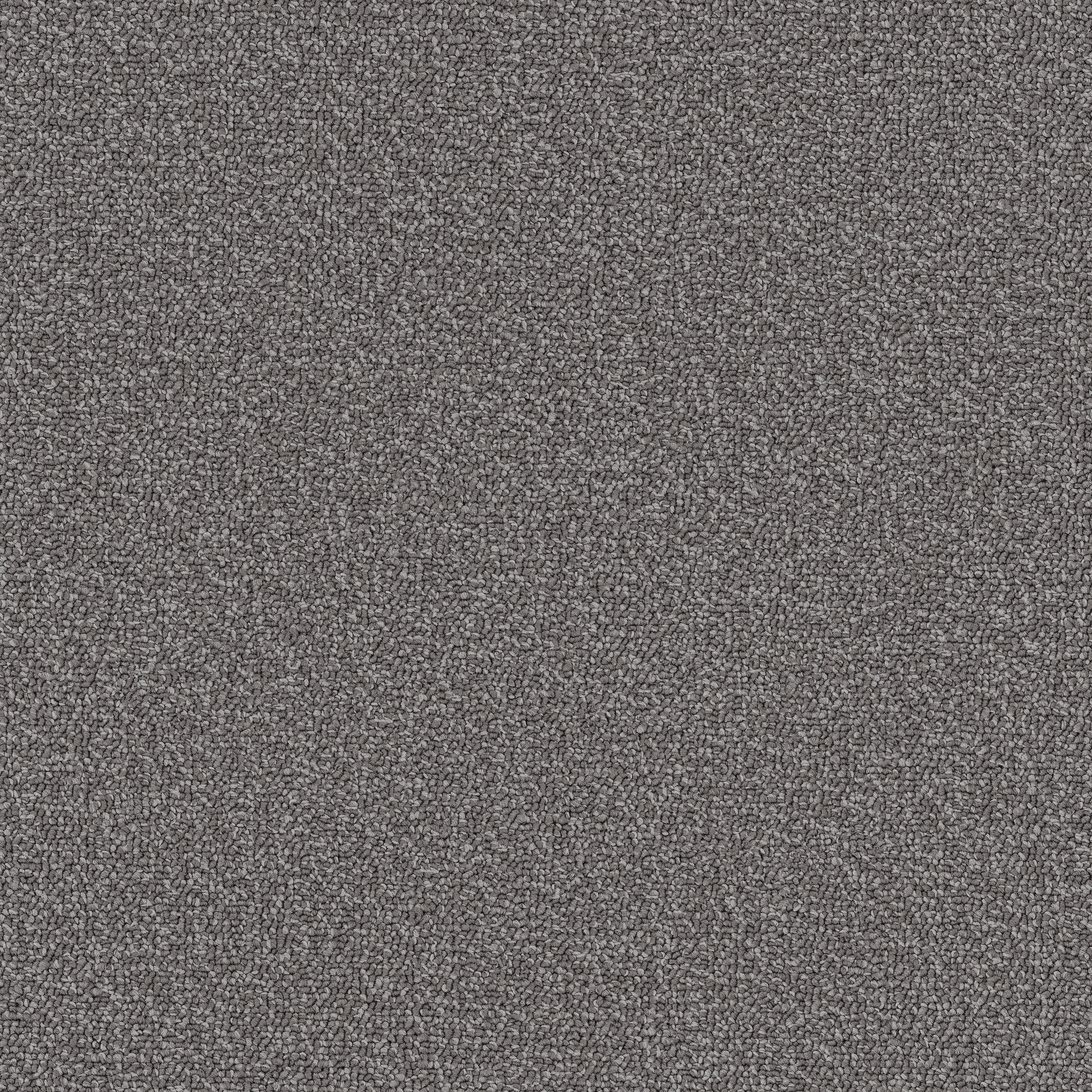 Eco Solo 7952 Hecht