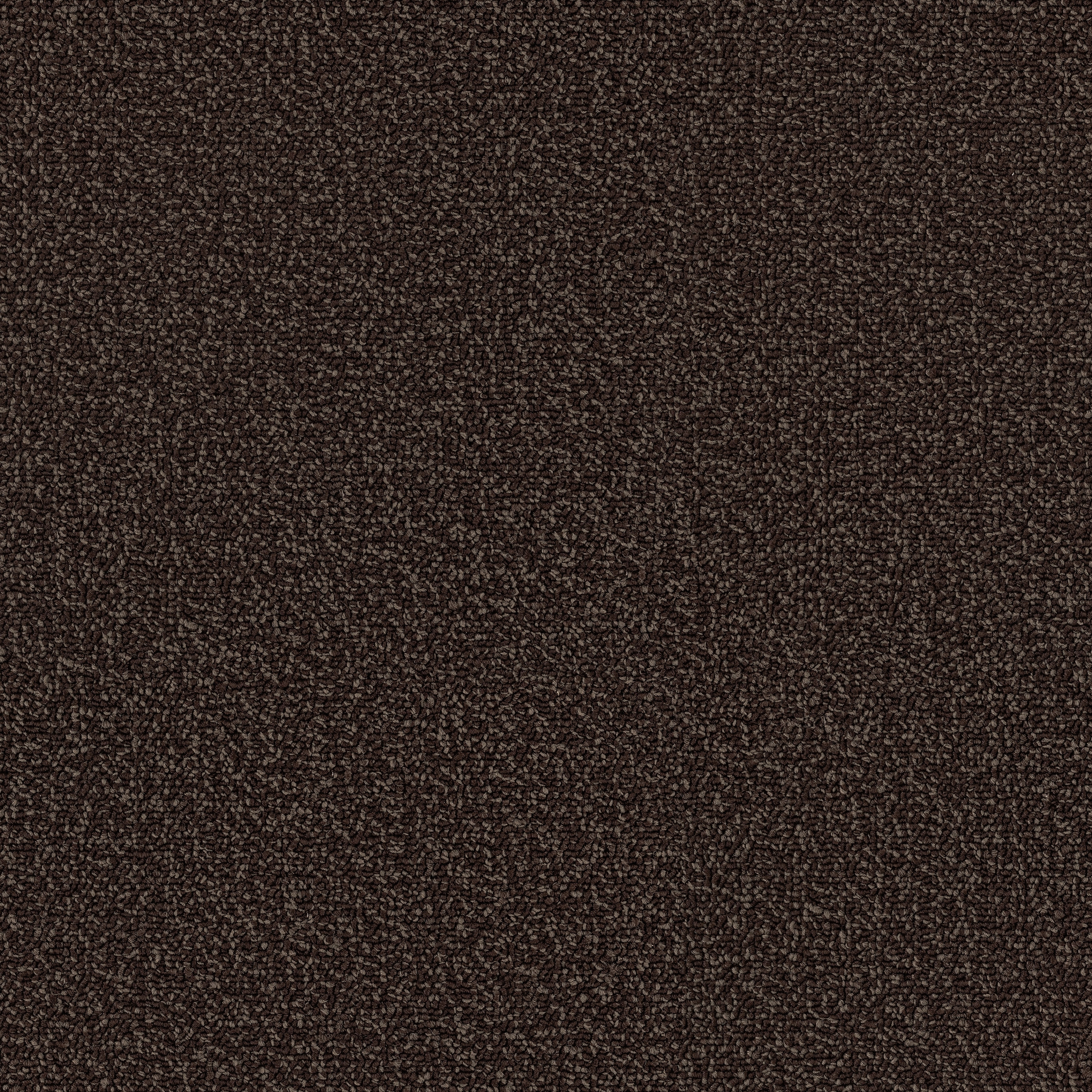 Eco Solo 7957 Tiramisu
