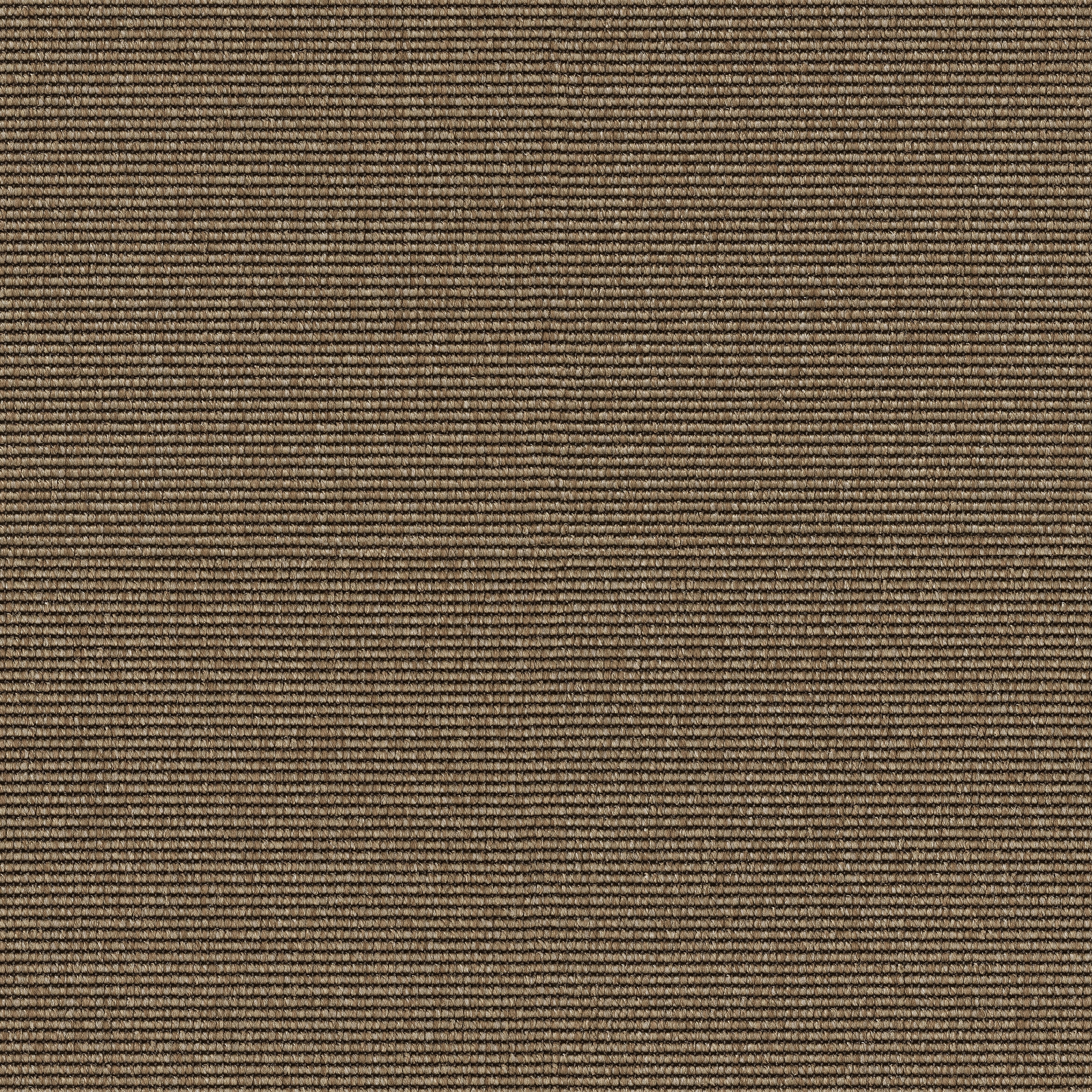 Eco Web One 1002 String