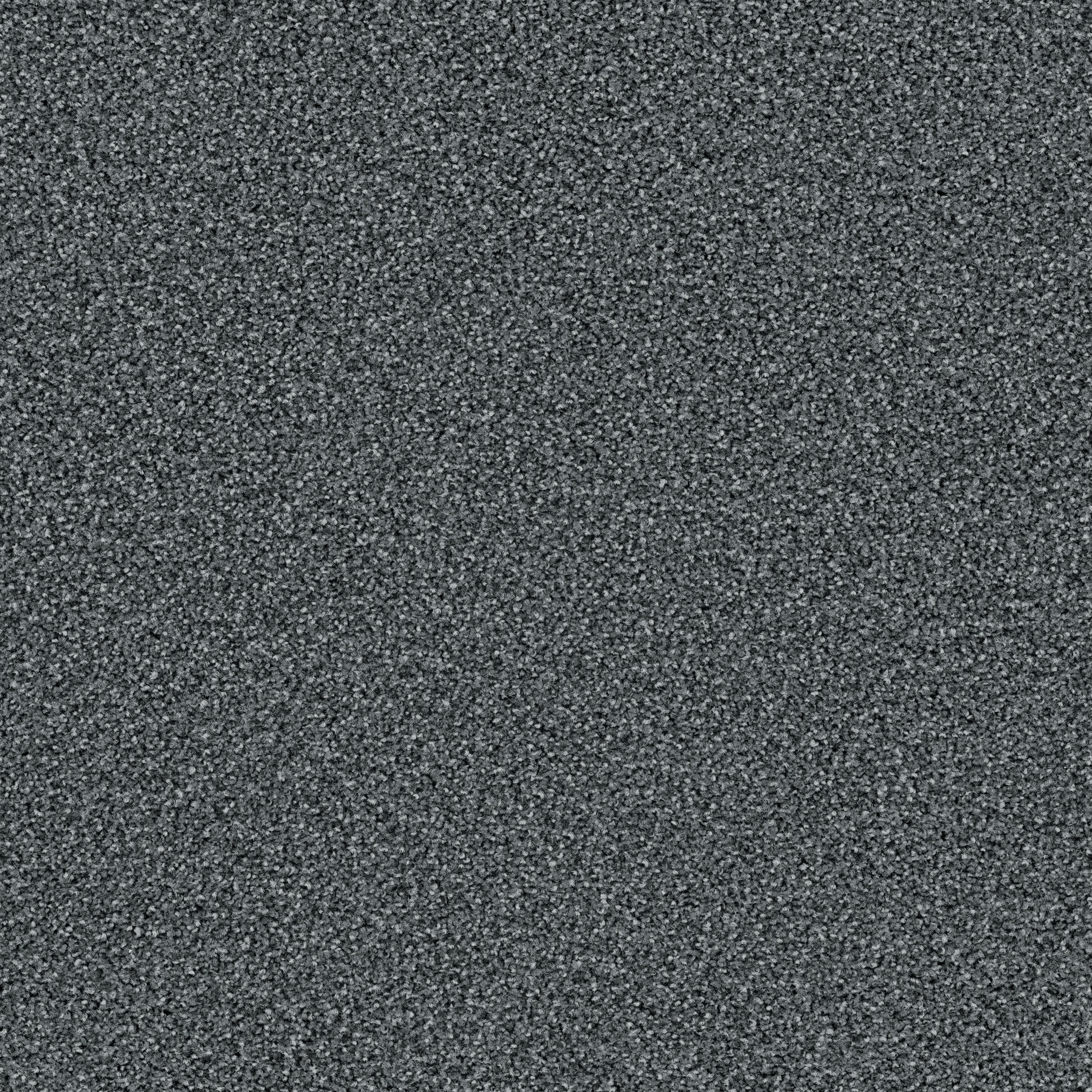 Factum 6601 Manchot