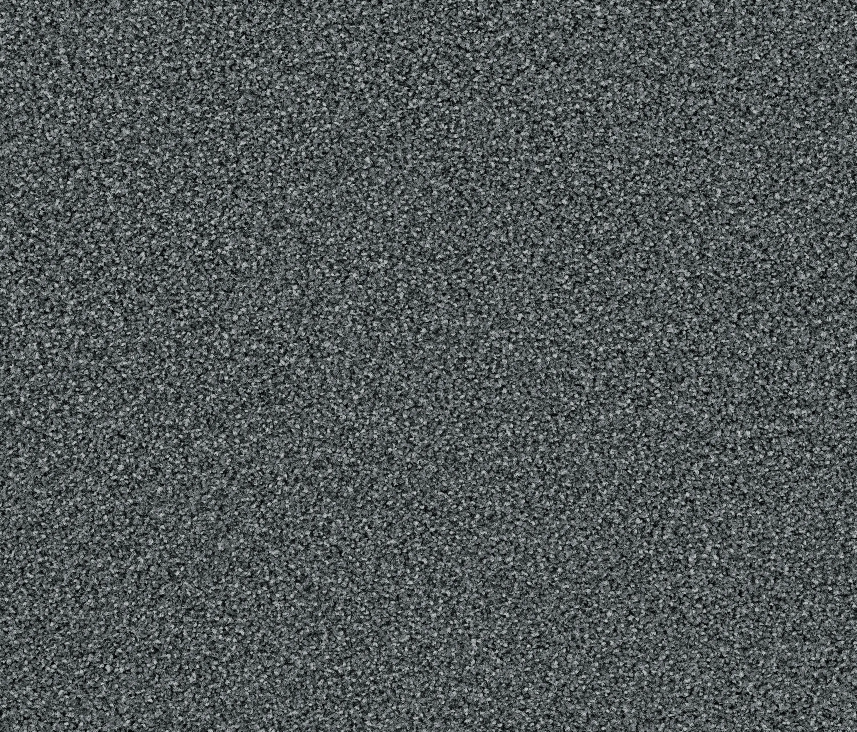 OBJECT CARPET - Factum 6601 Manchot