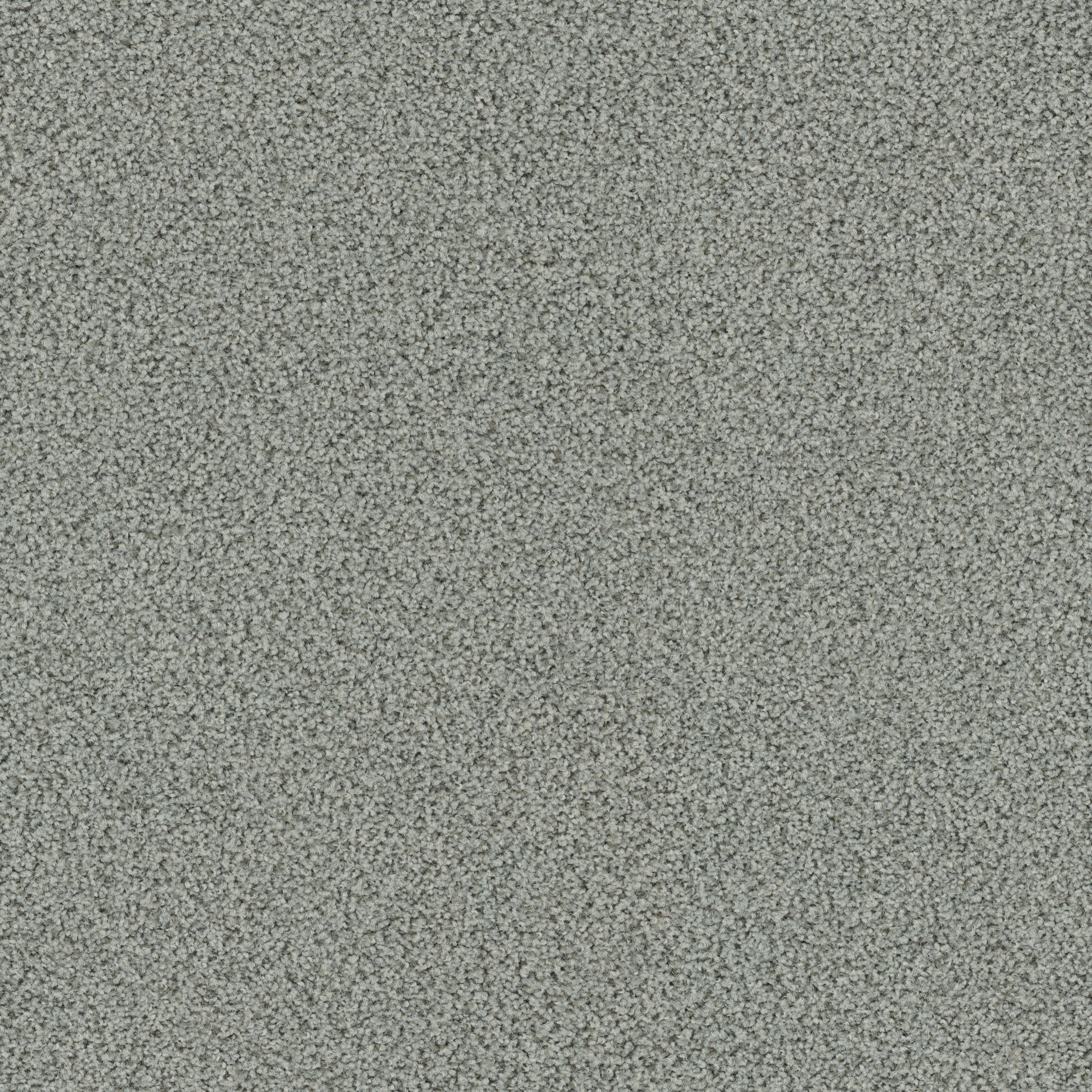 Factum 6603 Seagull
