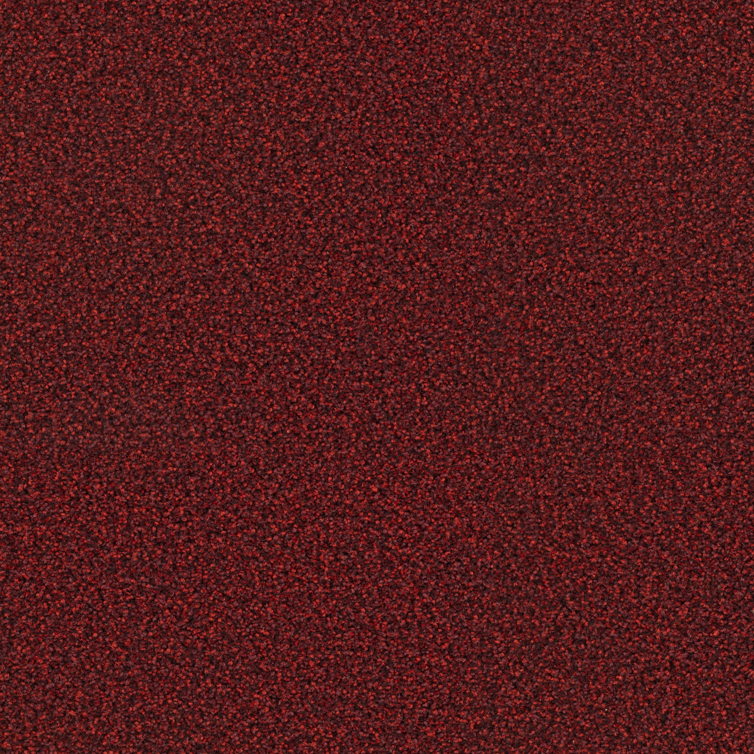 Factum 6617 Blood Orange