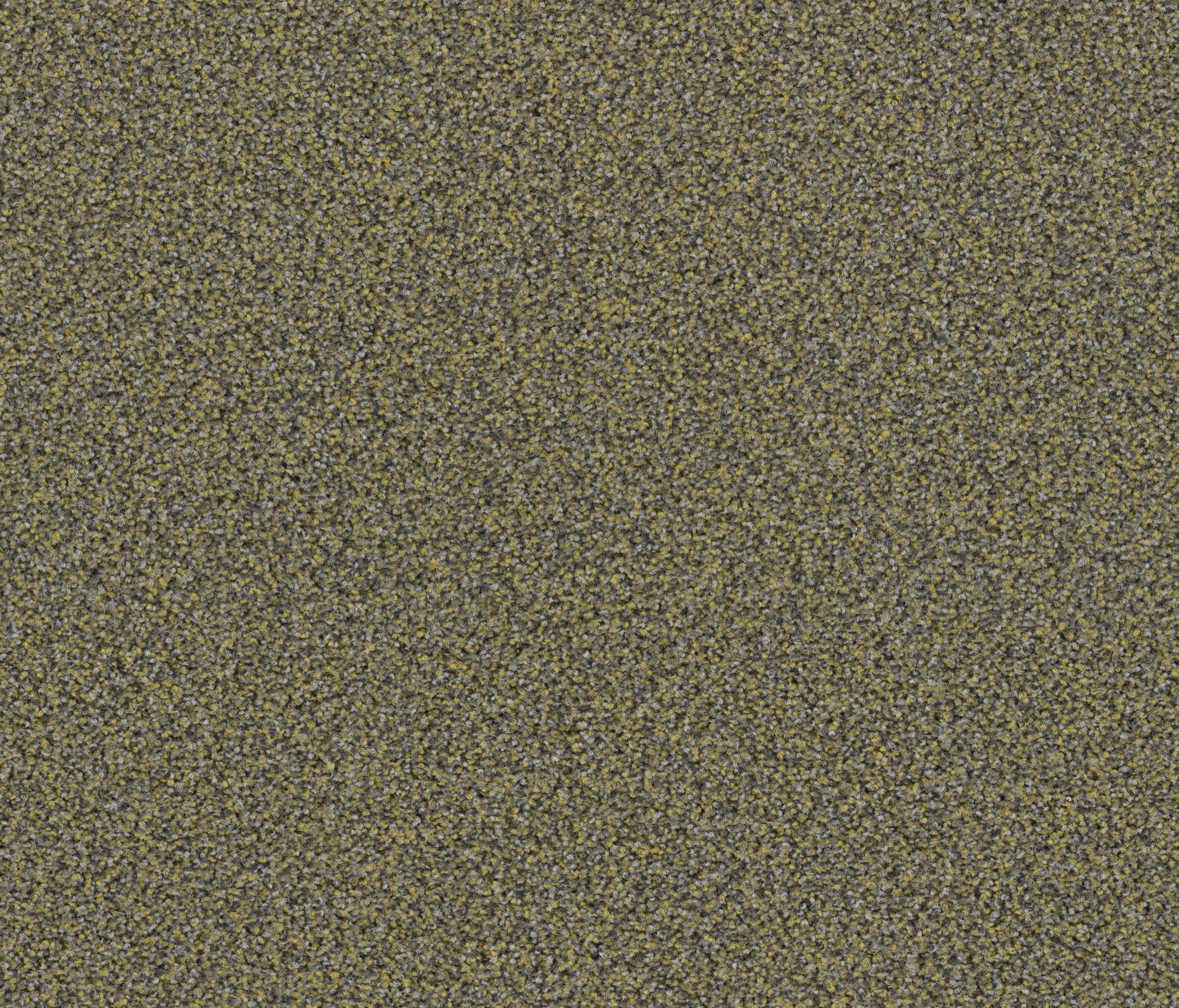 OBJECT CARPET - Factum 6620 Spring